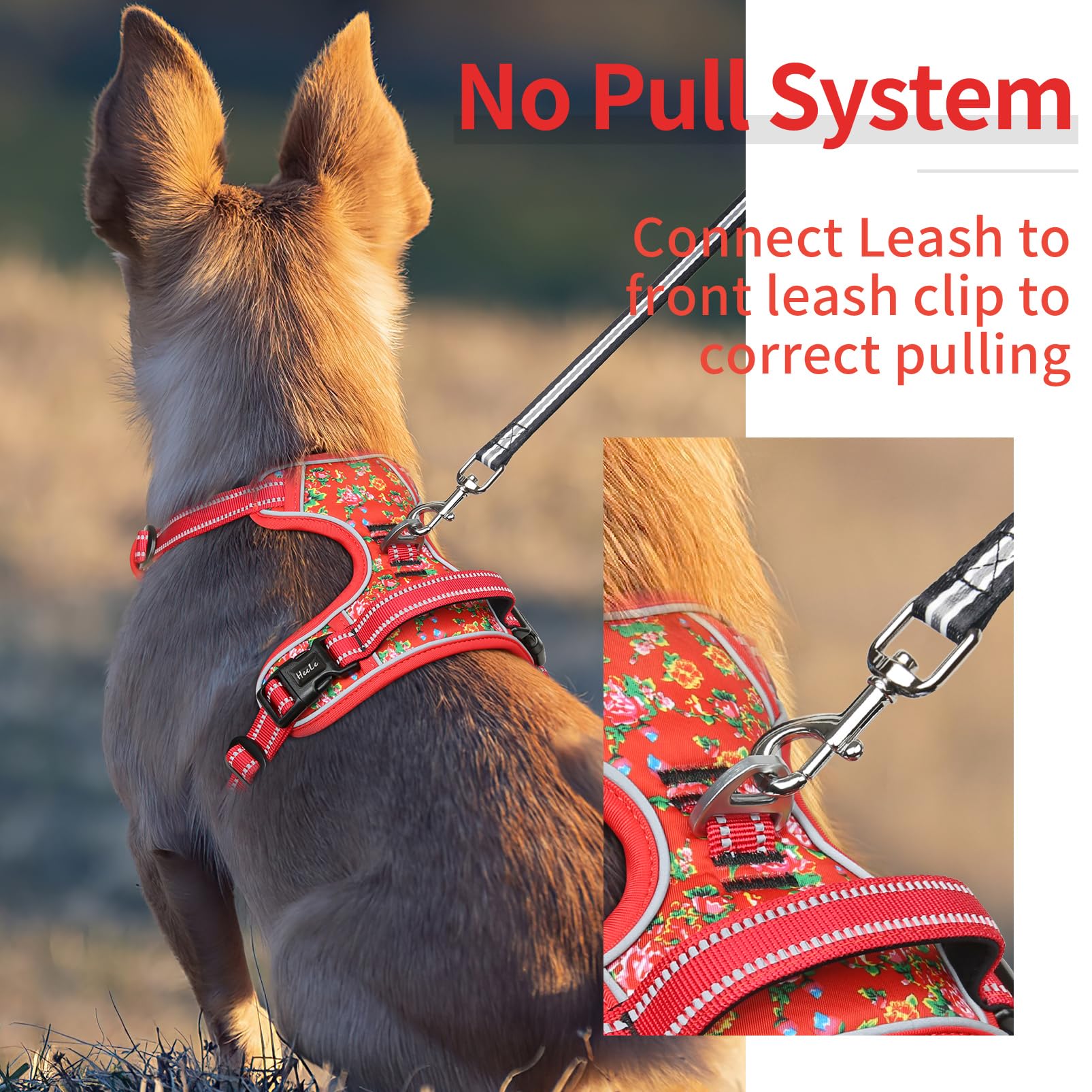 HEELE Pettorina Cane Taglia Piccola con Motivo Stampato, Riflettente Pettorina Addestramento Cani Anti Tiro con 2 Ganci in Metallo + Maniglia, Gilet per Cani Regolabile, Fiore-Rosso, S