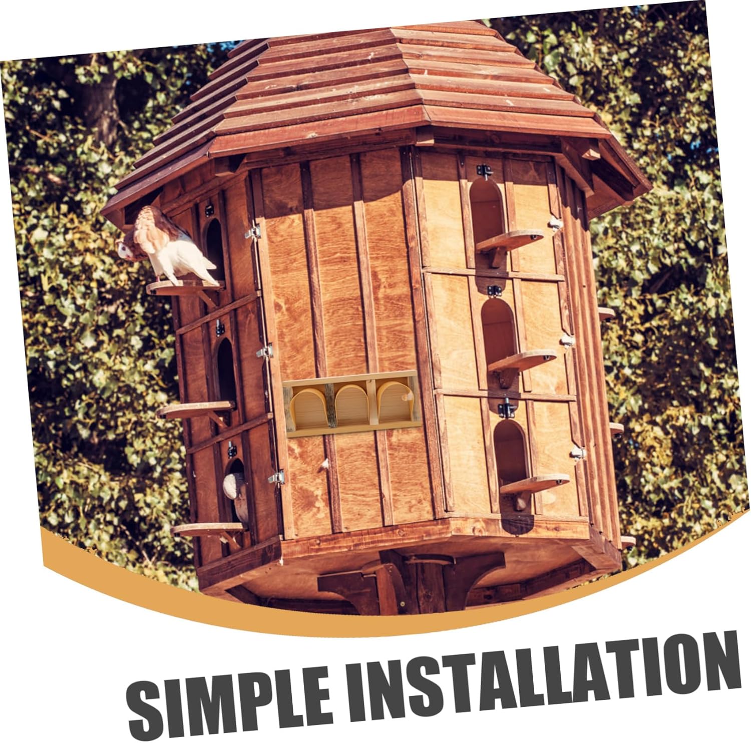 European Style Pigeon Door for Homing Pigeons Wooden Entrance Rounded Corners for Racing and Training Loft Supplies