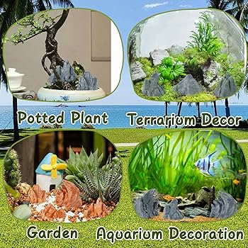 Amazon.com: Warmtree 10 Pcs Simulation Rockery Diorama Rocks Stone