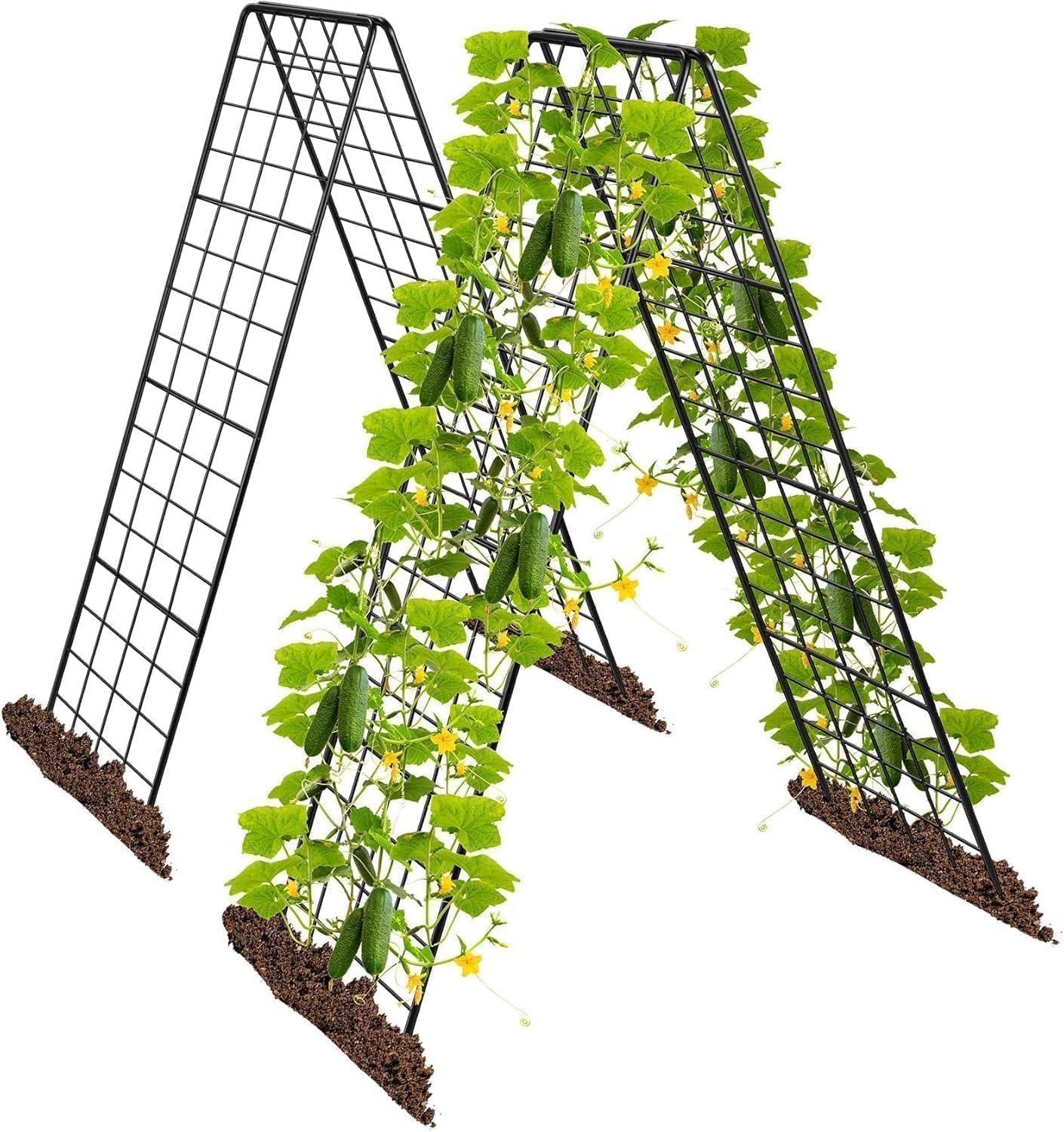 Rankgitter für Tomaten & Gurken, 2 Stück 100cm-Metall Pflanzenständer Rankhilfe Set, A-Form Gitterspalier für Kletterpflanzen, Gemüse & Obst