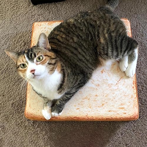 Miniatura 7 de Suhaco Camas de gato para gatos de interior, alfombrillas extraíbles y lavables, cama suave para cachorros, cama de doble cara disponible, cama para