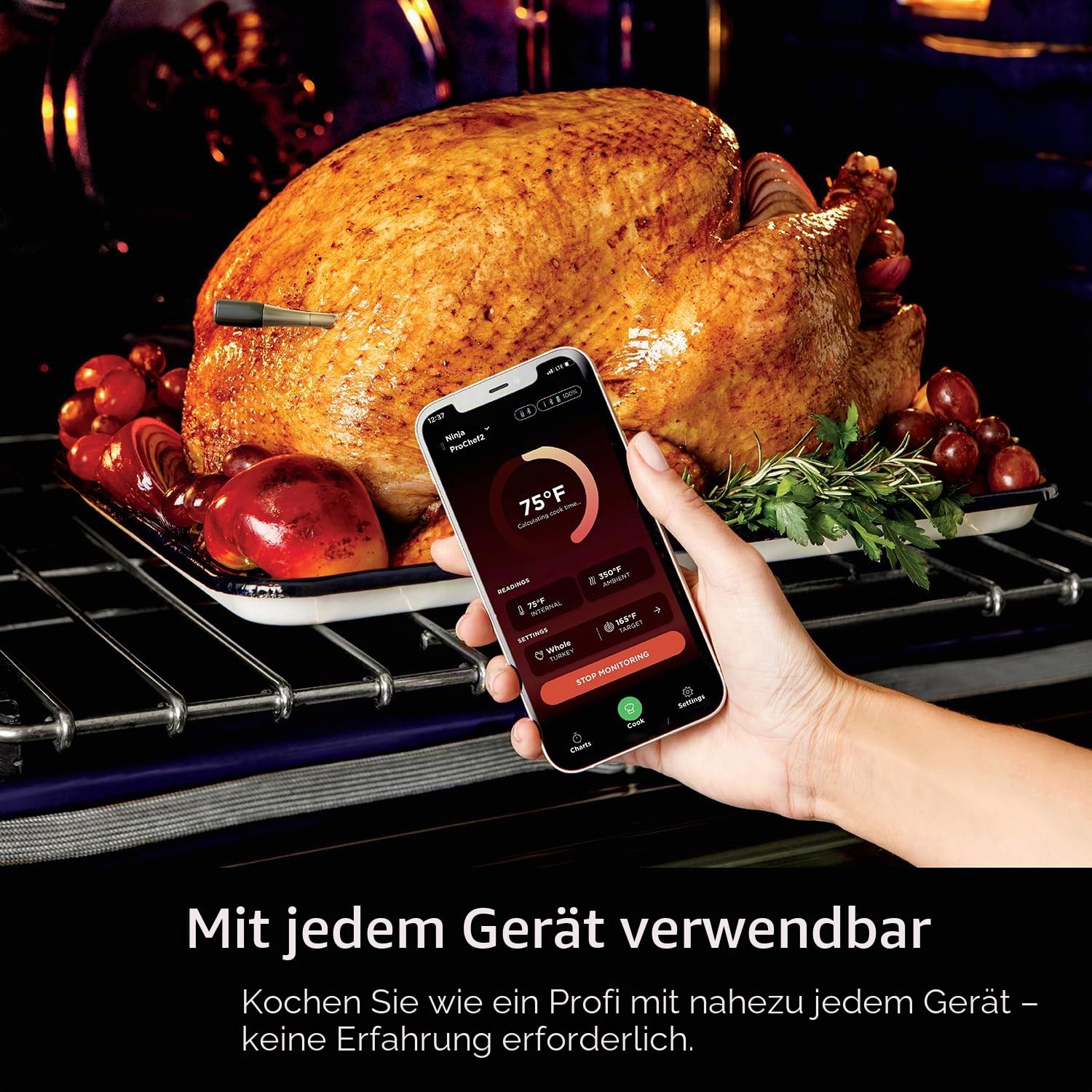 Ninja ProChef Drahtloses Fleischthermometer Sonde zum Kochen im Innen- und Außenbereich, Grillen und Luftbraten mit 50 m Bluetooth-Reichweite & 30 Stunden Akkulaufzeit, App-verbunden, hitzebeständig