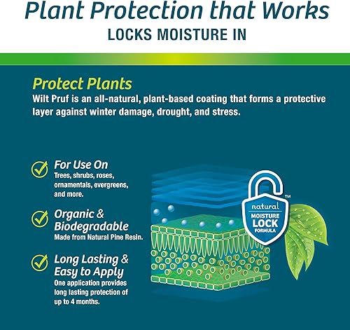 Miniatura 10 de Wilt-Pruf Concéntrate  Protege contra daños en invierno, sequías y estrés  Simplemente rocía y deja secar  Bloquea la humedad con película foliar