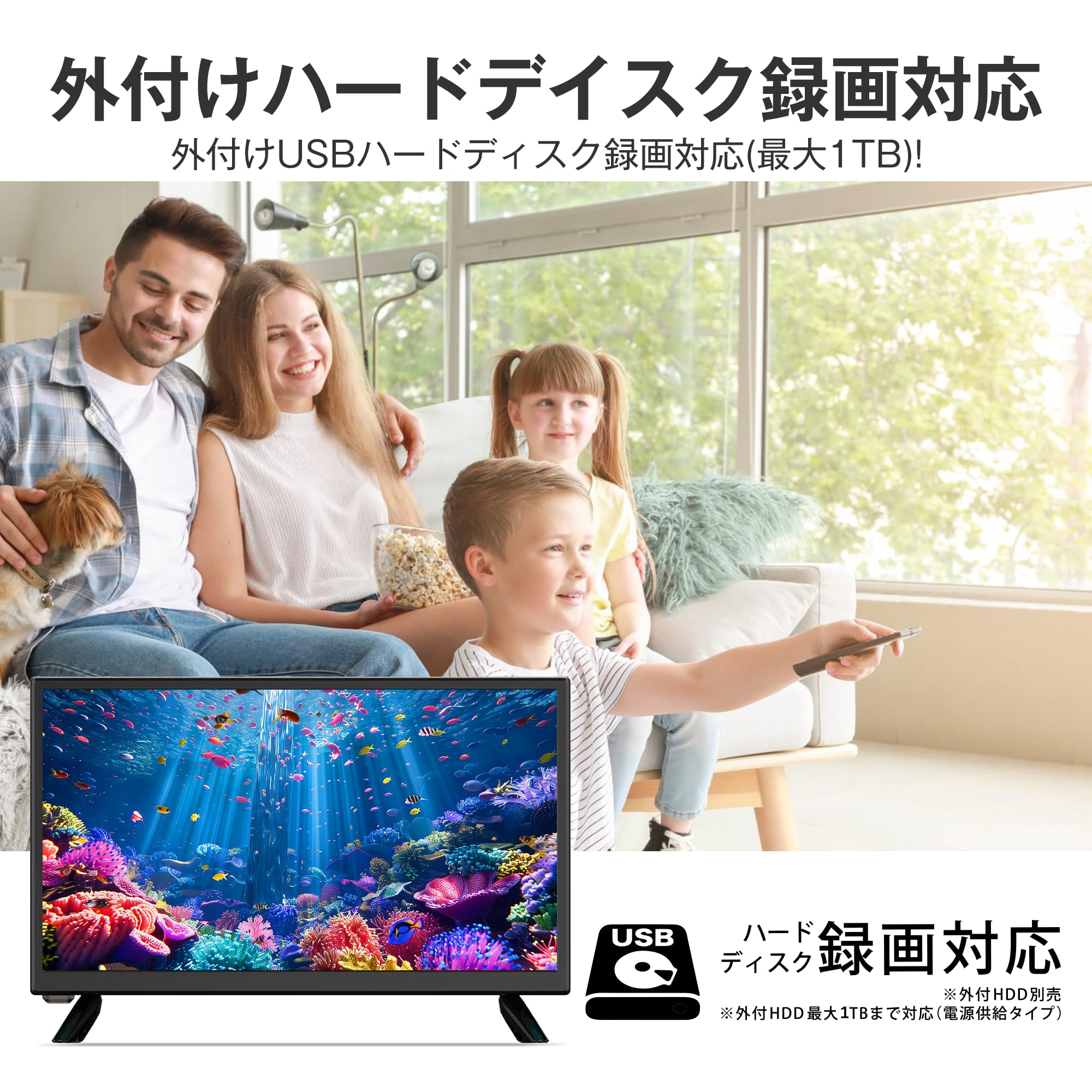 Amazon | 20V型 液晶テレビ 地上デジタル液晶 ハイビジョン 20インチ