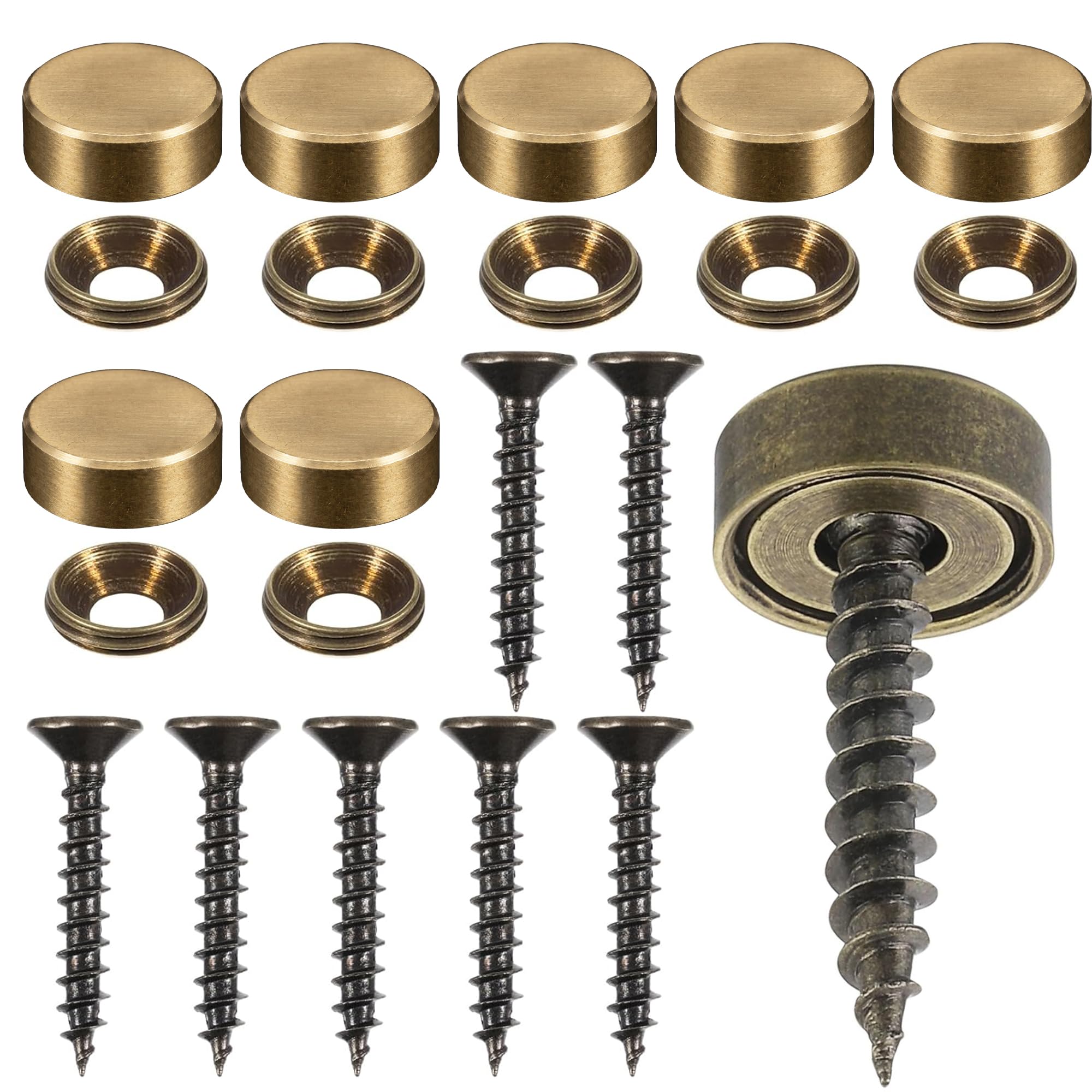 Set da 8 viti decorative in ottone da 12 mm con cappucci, copriviti autofilettanti per specchi, mobili e armadi