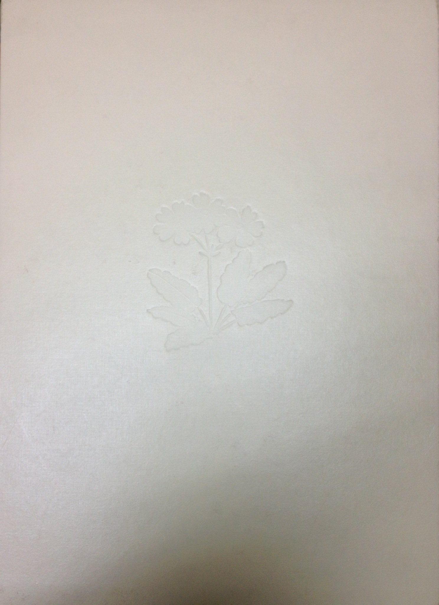 木下章　花の素描 Yahoo!オークション - 花の素描 木下章