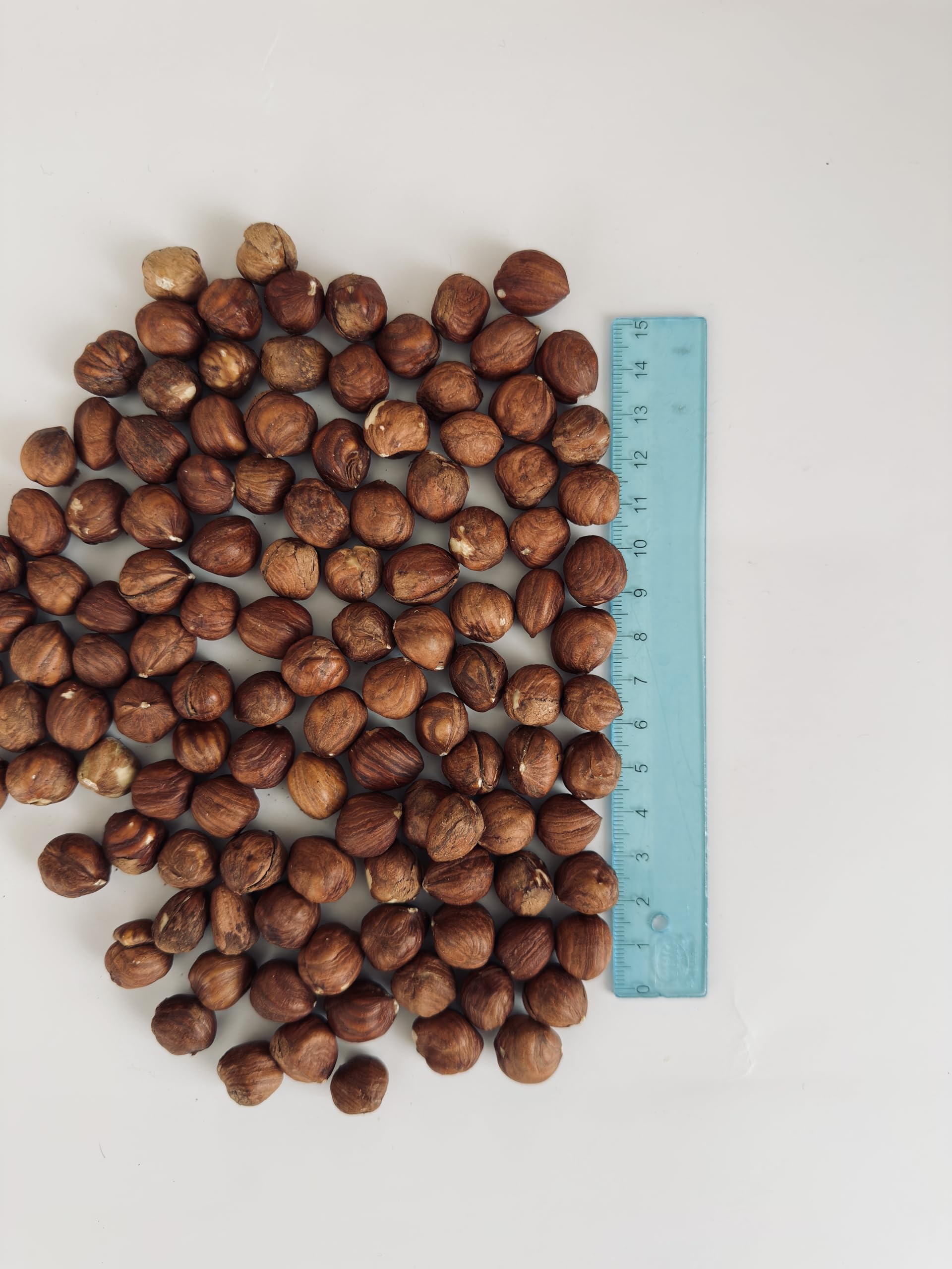 Haselnüsse 3 kg – ganze Haselnusskerne – naturbelassen