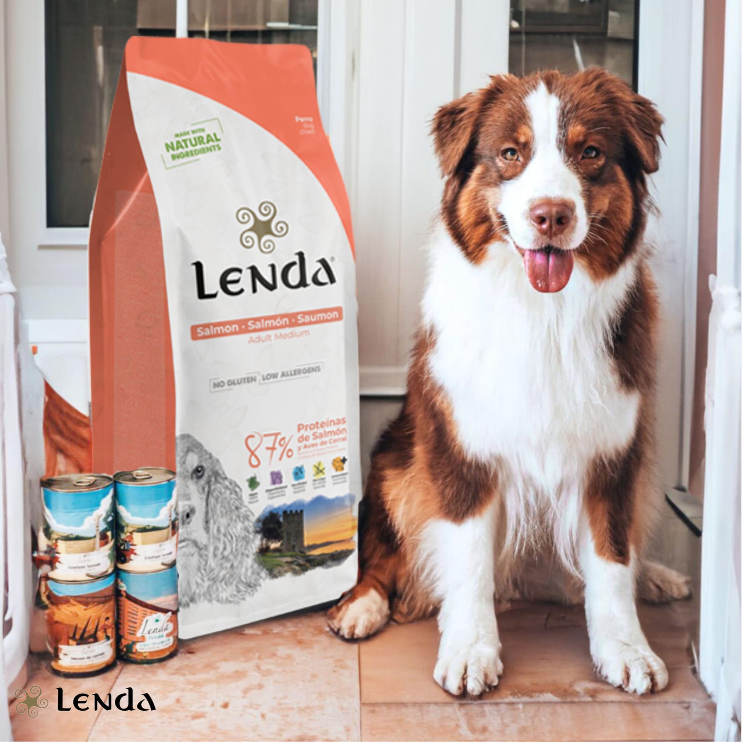 Lenda Salmón - Pienso para Perros Rico En Salmón |Comida para Perros Jóvenes y Adultos de Todas Las Razas | Pienso para Perro Natural (12 KG)