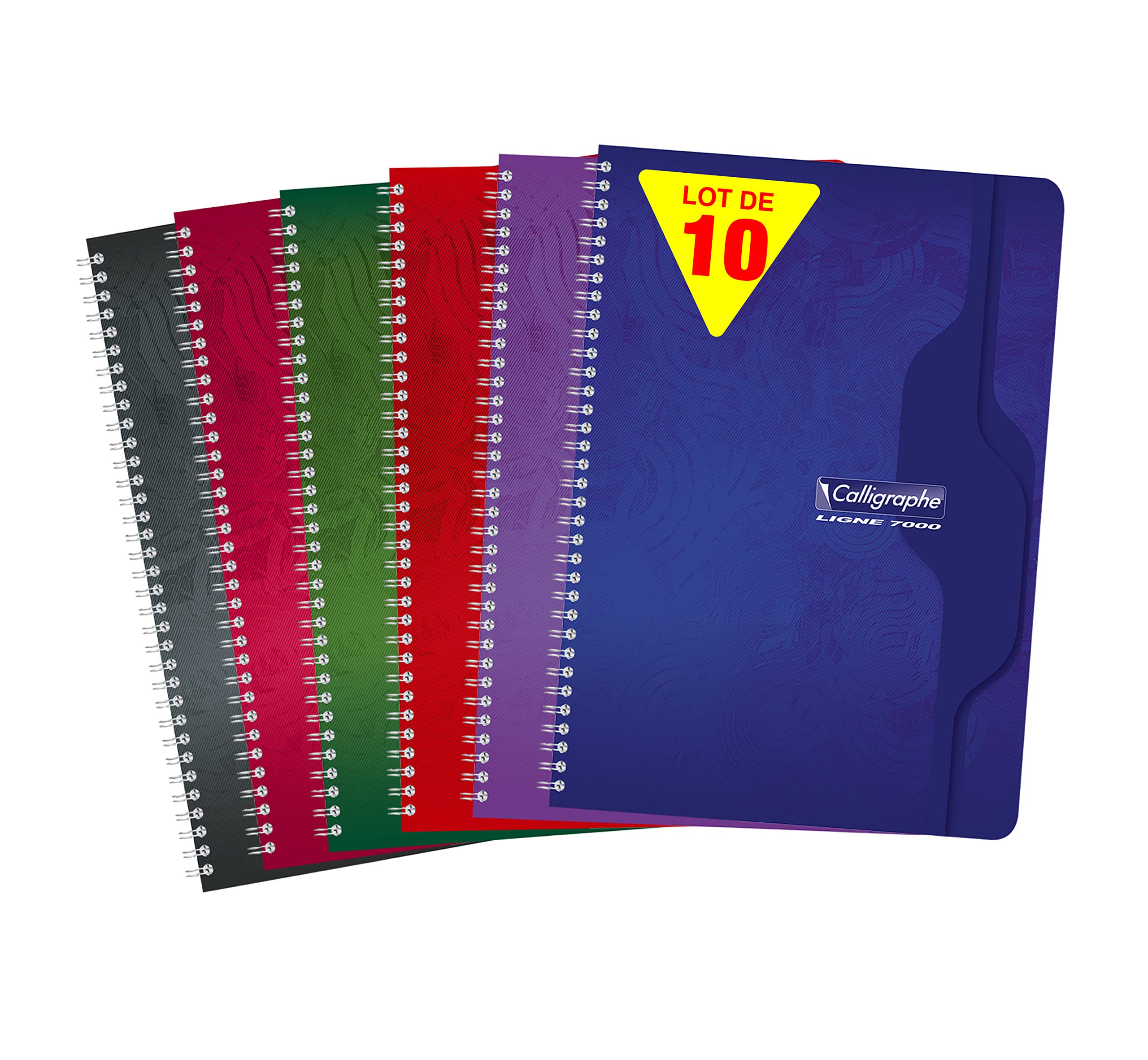 Cahier Calligraphe 210x297 mm pour ne plus manquer d'espace d'écriture
