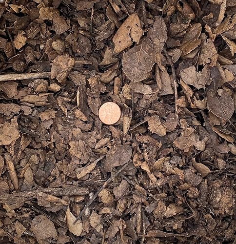 Miniatura 3 de Molde de hoja de roble natural de 2 galones para plantas amantes del ácido, cactus y suculentas, mezcla de suelo de árbol bonsái, aditivo orgánico