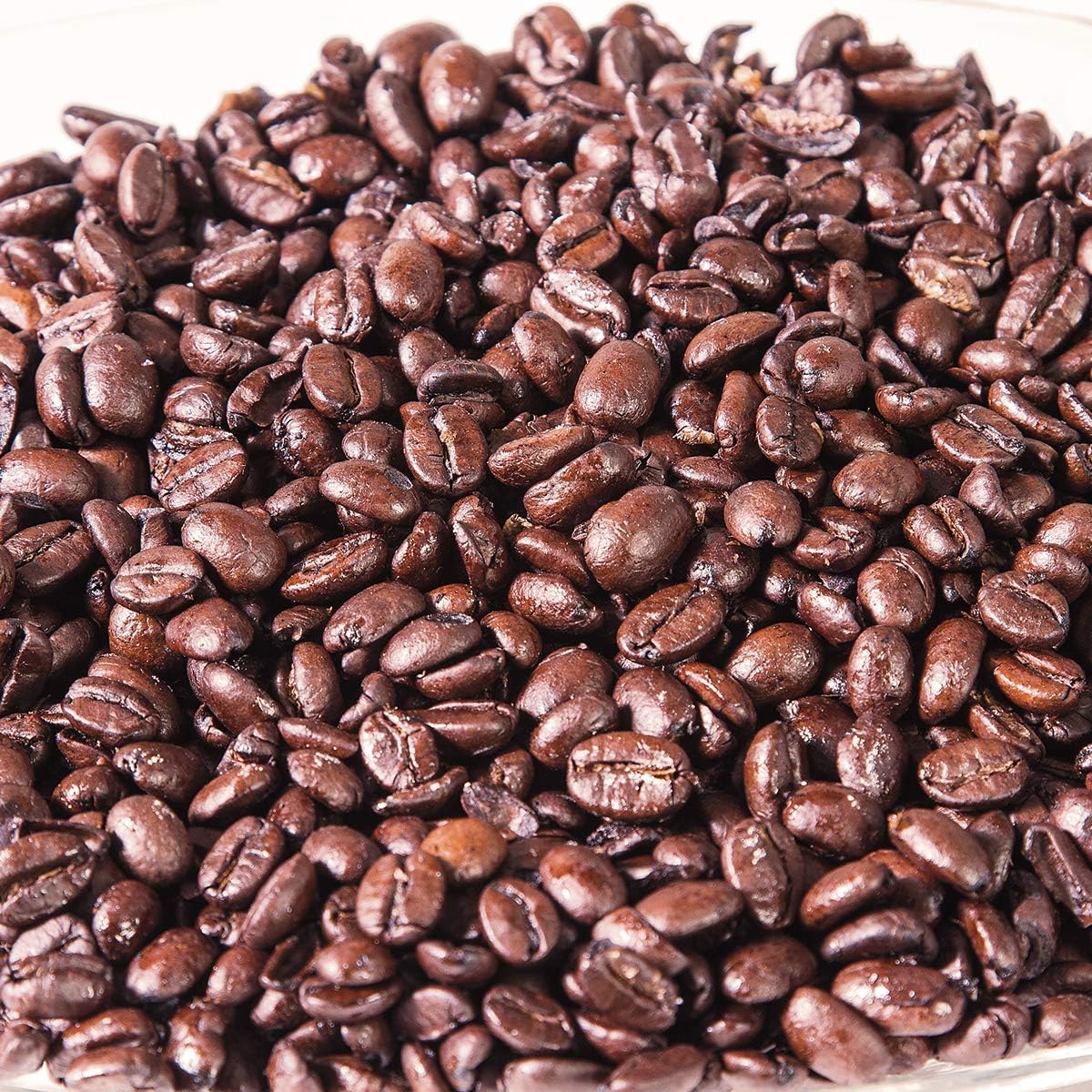 Progressive International PKS600 1.5Quart Plastic Coffee ProKeeper