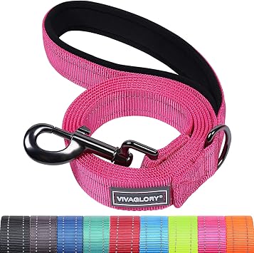 VIVAGLORY Dog Leash Dailyx Pet Leash with Soft Padded Handle for Training & Walking, Heavy Duty & Double Layer Nylon for Pet Puppy Collar, 3ft x 1in, Pink