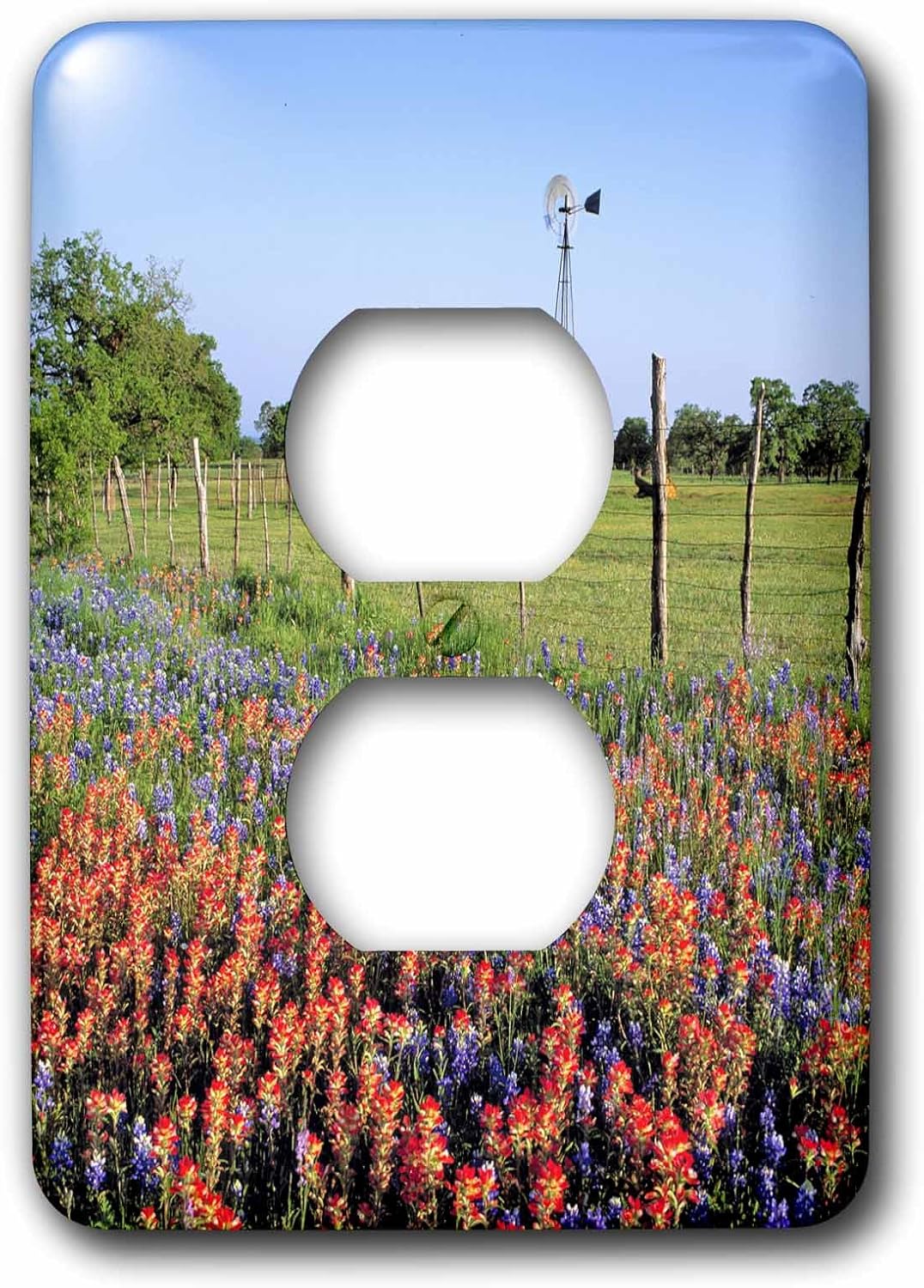 3dRose LLC lsp_94538_6 Texas, Llano Indian Paintbrush, Bluebonnets Us44 Rer0000 Ric Ergenbright 2 Plug Outlet Cover