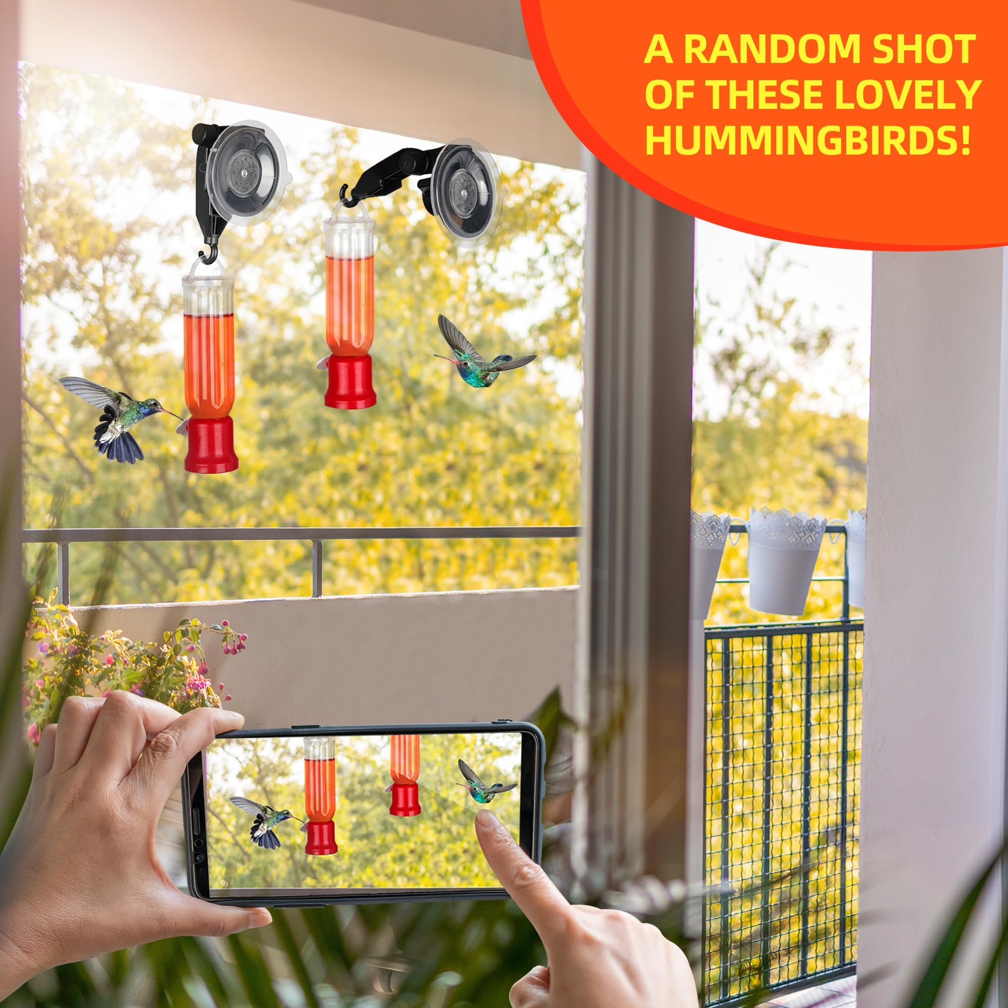 SUZH-u Mangeoire à Main Pour Colibris Lot De 4 Mangeoires à Fleurs Pour Colibris Mini Mangeoire