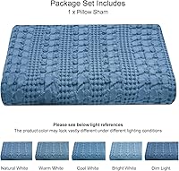 Vista 282 de PHF Fundas de almohada 100% algodón con tejido de gofre de 24 x 24 pulgadas, paquete de 2 fundas cuadradas para decoración elegante del hogar, sin