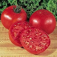 Burpee Big Boy Tomato Seeds - 125 Non-GMO Pack for Huge 10-16 oz Red Tomatoes with Rich Flavor & Aroma Since 1949