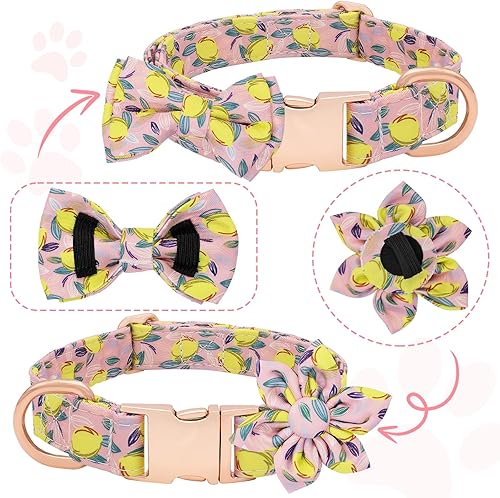 Miniatura 4 de Hilkycton Juego de collar y correa para perro con corbatín, lindo collar para perro con flor, correa de perro con mango acolchado, hebilla de