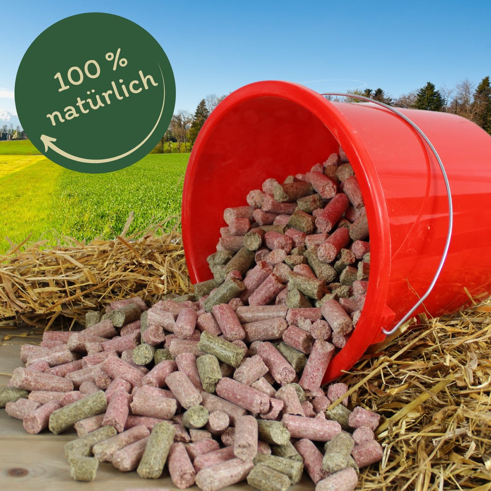 Lyra Horse® 10 kg Karotte-Himbeer-Kräuter Leckerli Pferdefutter Pferd | Fruchtige Snacks für Pferde - Ausgewogene Nährstoffquelle - Vitaminreiche Belohnung - Reich an Ballaststoffen & Calcium