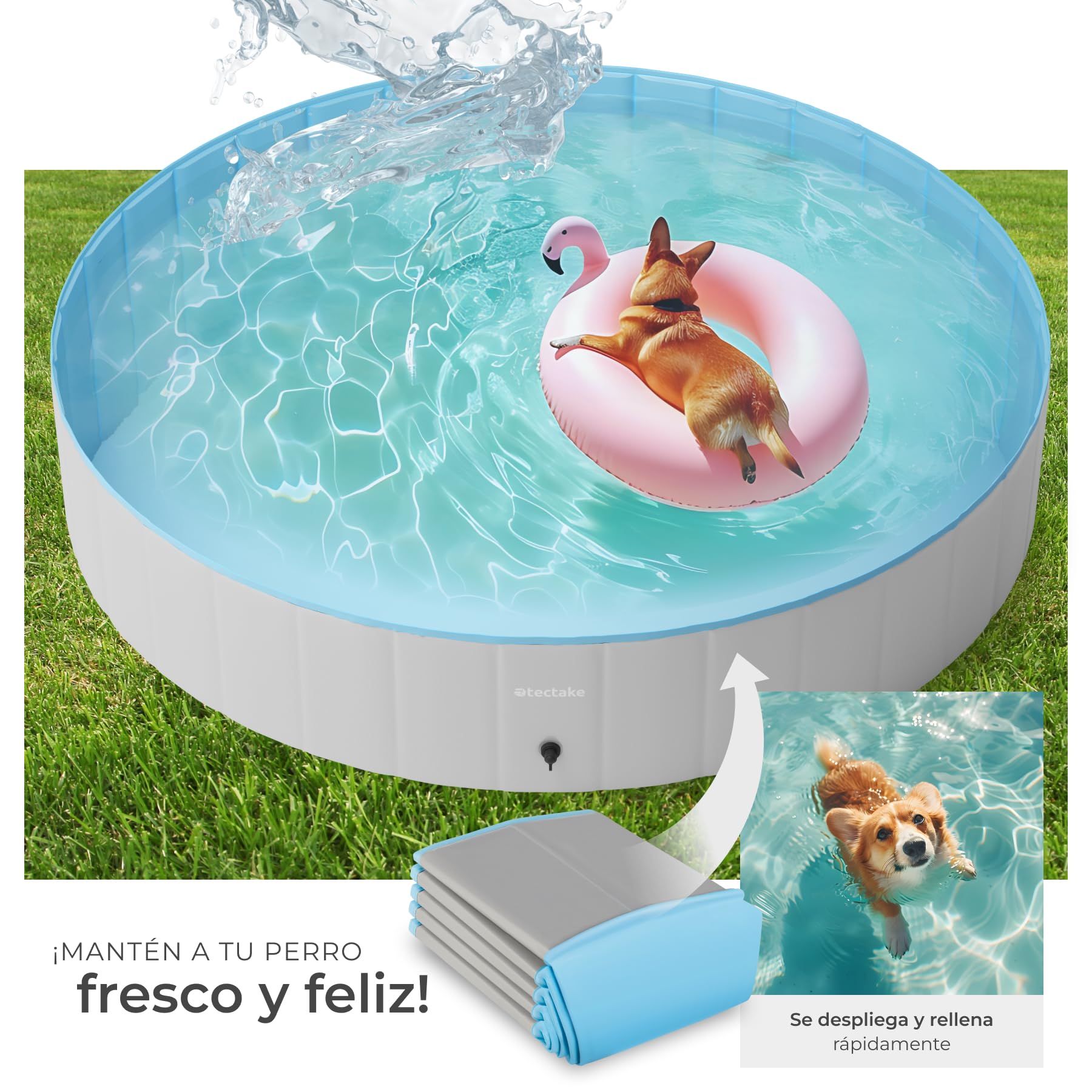 tectake® Piscina Plegable para Perros, Piscina Mascotas, Bañera para Perros, PVC Resistente, Plegable para Gatos, Pet Pool, Bañera Desmontable Antideslizante, Accesorios Perro - 160 cm