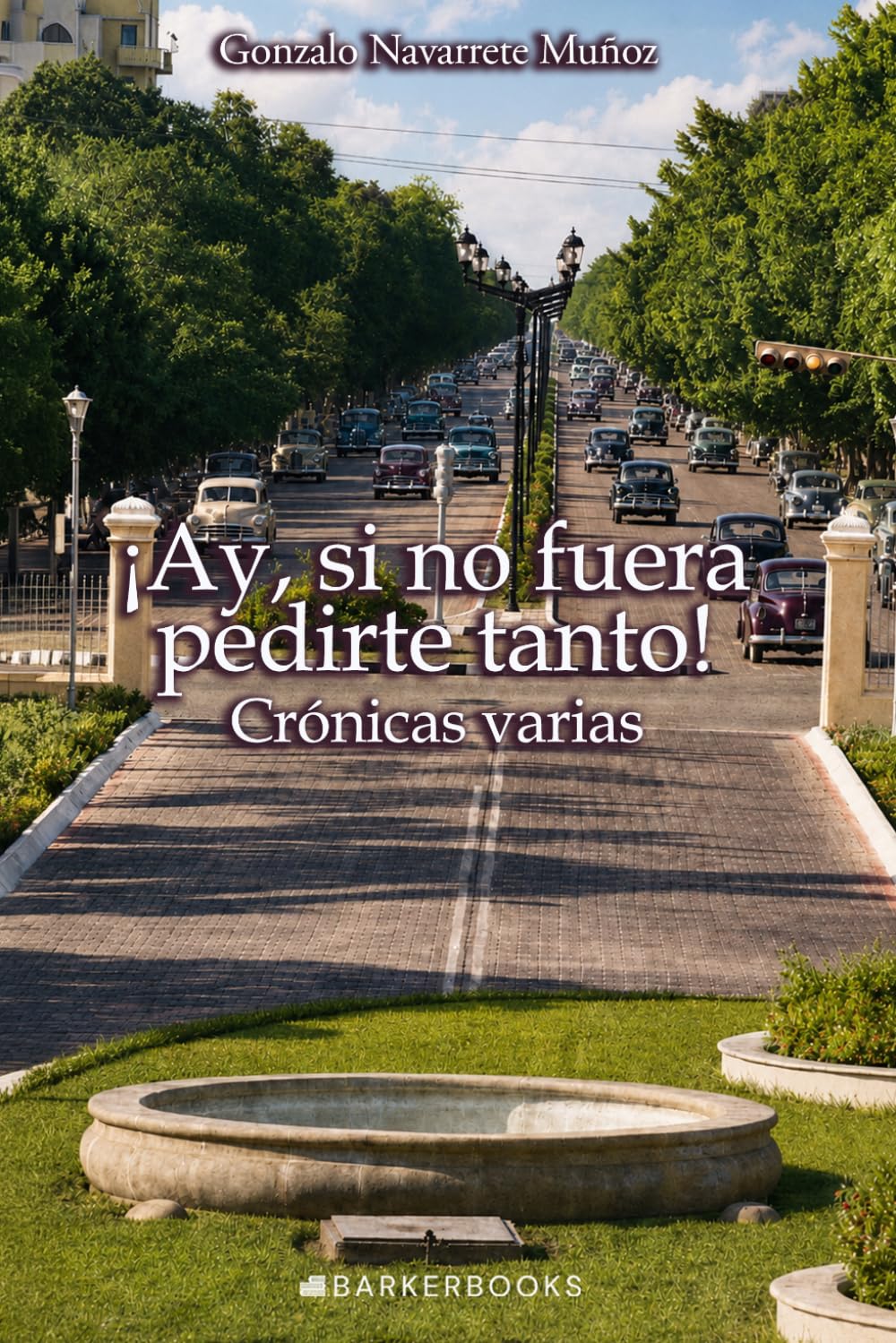 ¡Ay, si no fuera pedirte tanto!: Crónicas varias
