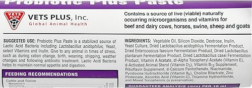 Miniatura 2 de Probiotic Plus Pasta Tubo de 80 cc