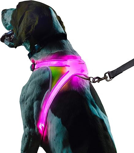 Noxgear LightHound - Revolucionario arnés iluminado y reflectante para perros, incluye fibra óptica LED multicolor (recargable por USB, ajustable,
