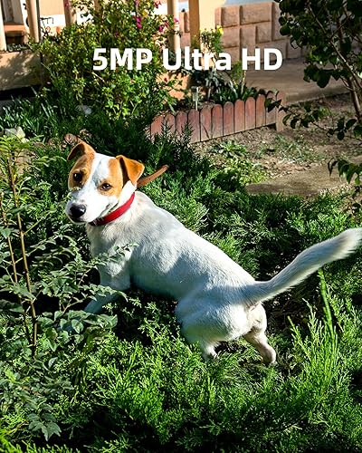 Miniatura 2 de Noorio B211 Cámara de seguridad para interiores y exteriores, inalámbrica 2K+ Cámara Bluetooth para seguridad del hogar, foco de cámara de seguridad