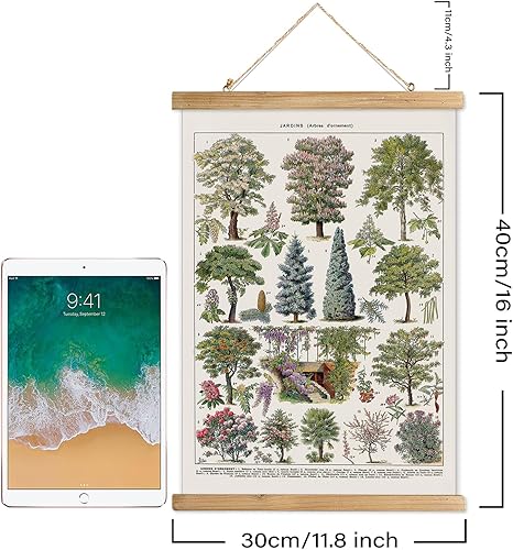 Miniatura 318 de XIAOAIKA Póster de botánica vintage con marco de madera, tabla de plantas venenosas antiguas, arte educativo botánico con especies peligrosas, 1