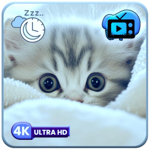 Salvapantallas de gatitos Purrfect: adorable televisor de gatos con sonidos relajantes y cuenta atrás para dormir