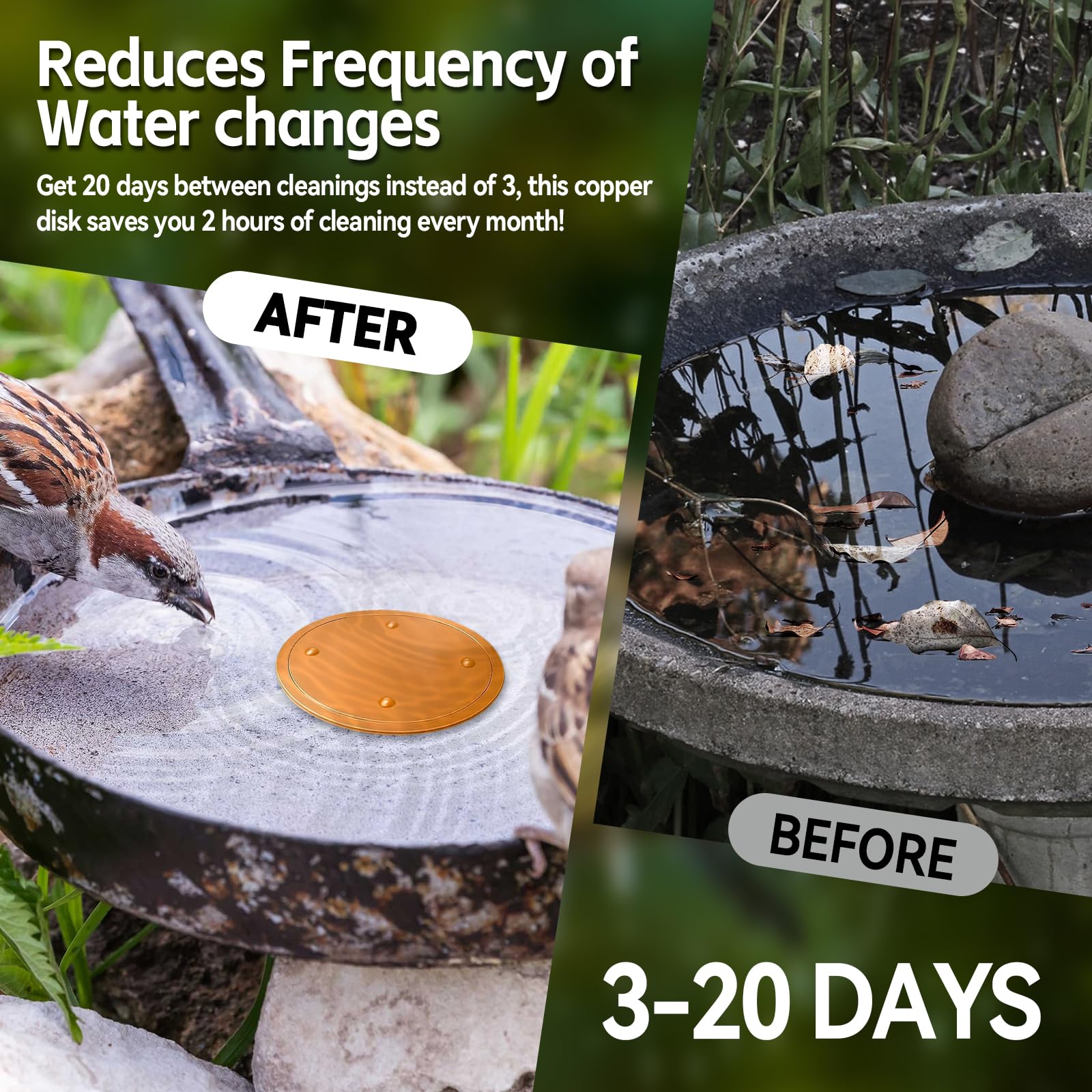 Lot de 6 disques de purification pour bain d'oiseaux, 99,99 % cuivre pur, 0,6 mm, garde l'eau propre et fraîche pour intérieur extérieur, jardin, cour, terrasse