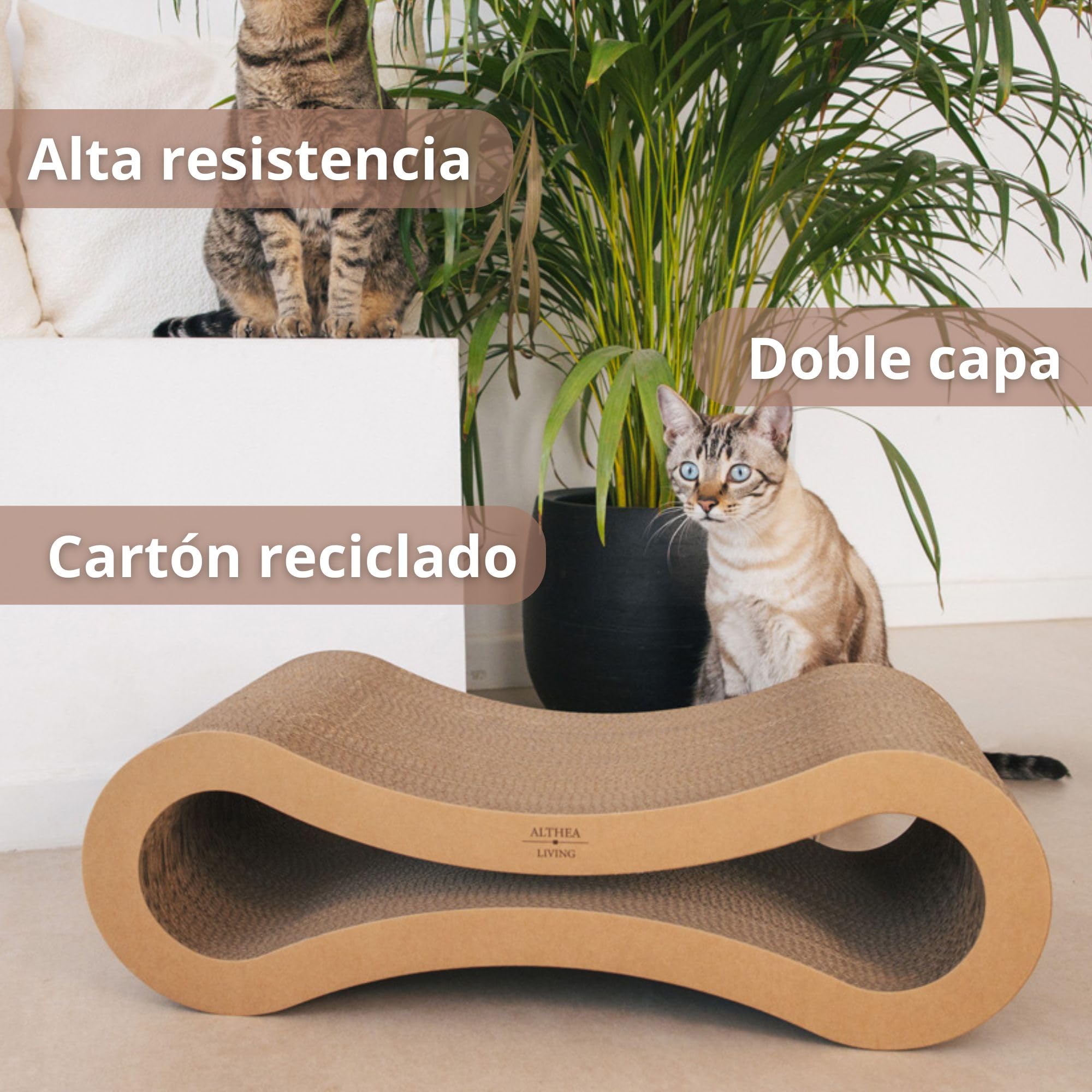 Rascador para Gatos con Forma de Infinito Reversible de Cartón Reciclado | Diseño Ergonómico para Rascado y Descanso | Doble Cara Duradero | ALTHEA LIVING
