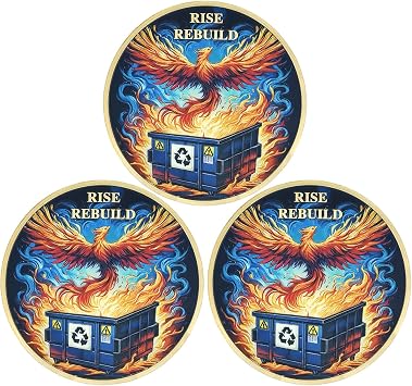 Phoenix Rebirth Dumpster Fire Challenge Coin AA Medallion Inspirational Coin Rise Rebuild Coin Pack of 3