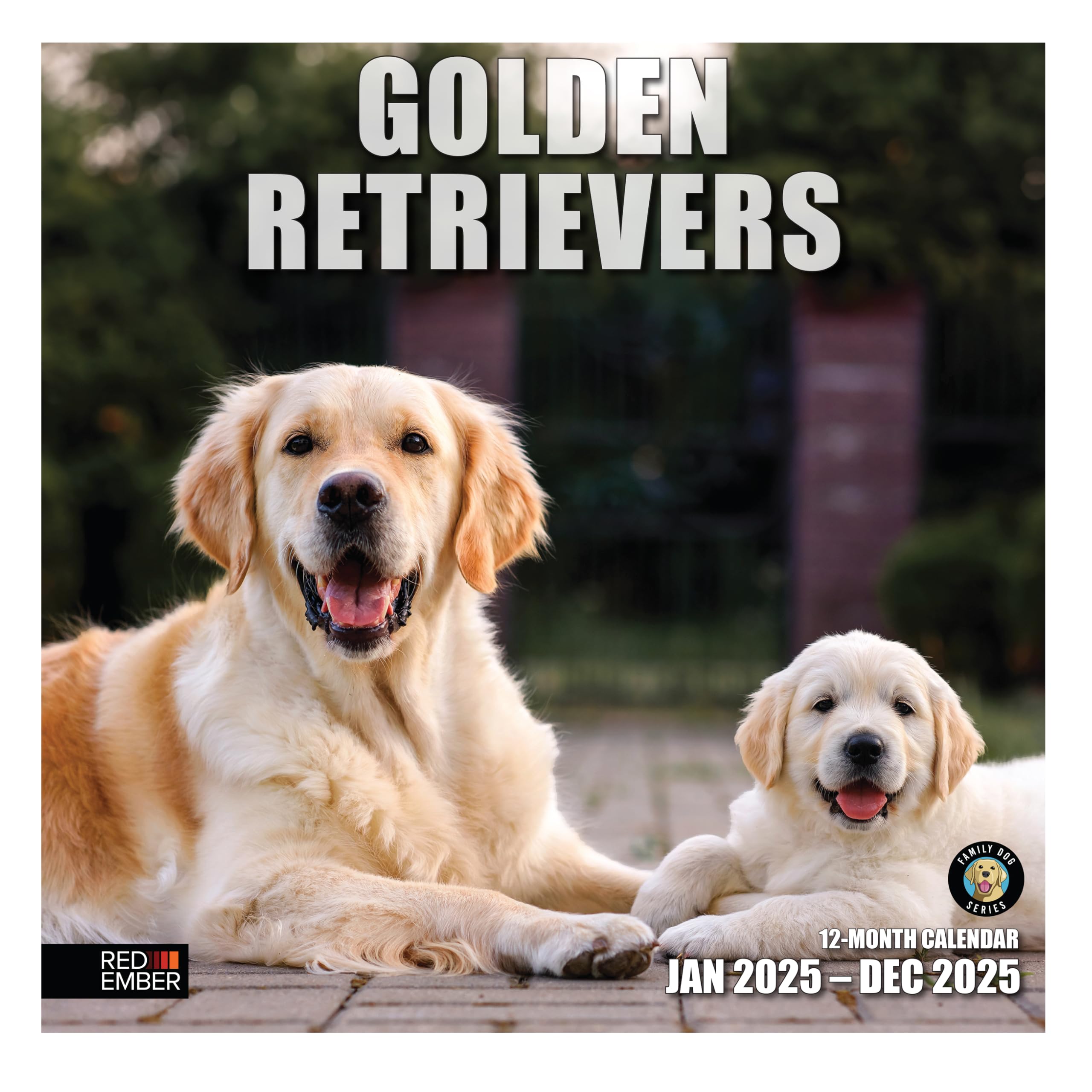 RED EMBER Golden Retrievers 2025 Wall Calendar 12 Month | 12" x 24" Open | Thick &amp; Sturdy Paper | Giftable | Calendar 2025