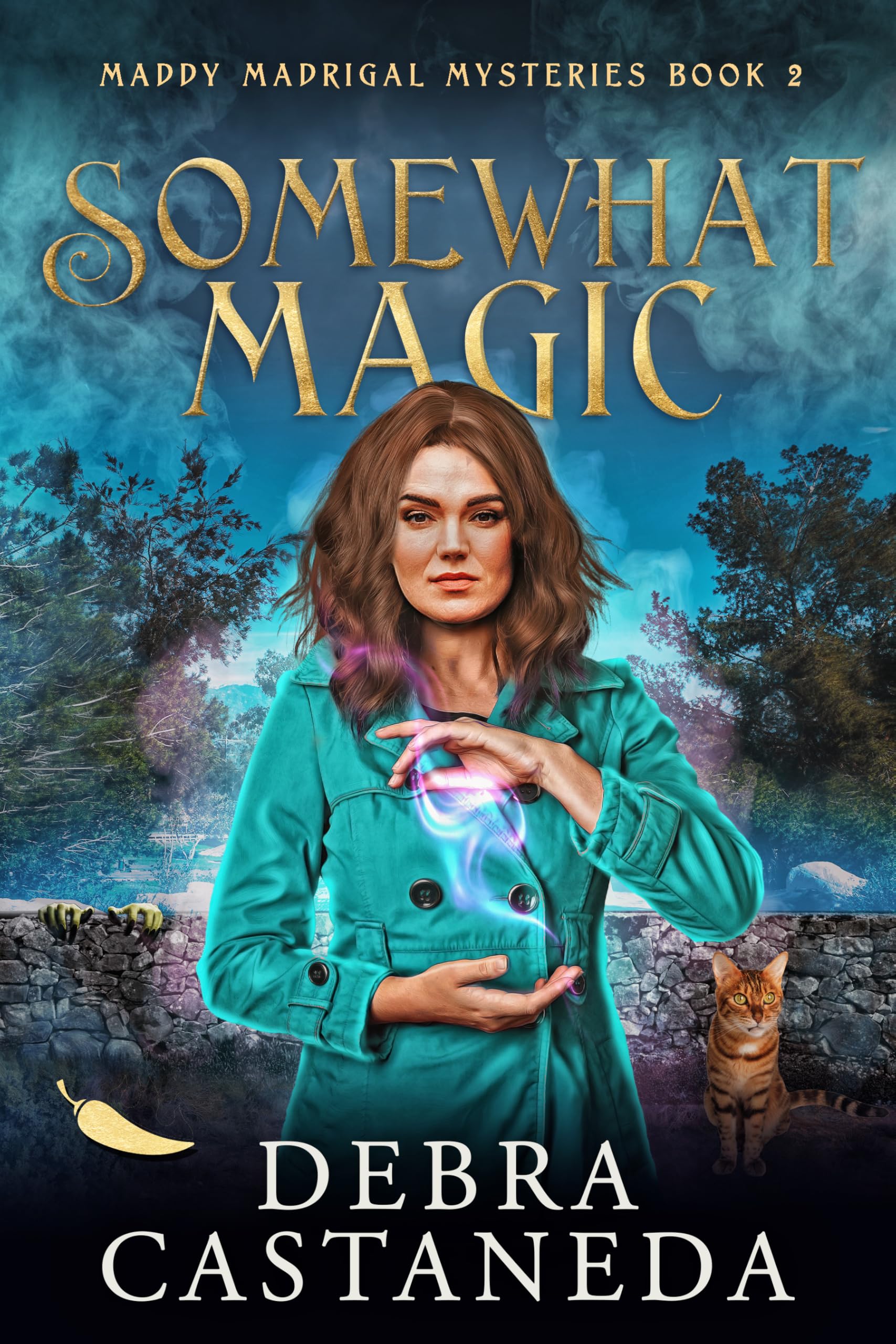 Cover of Somewhat Magic