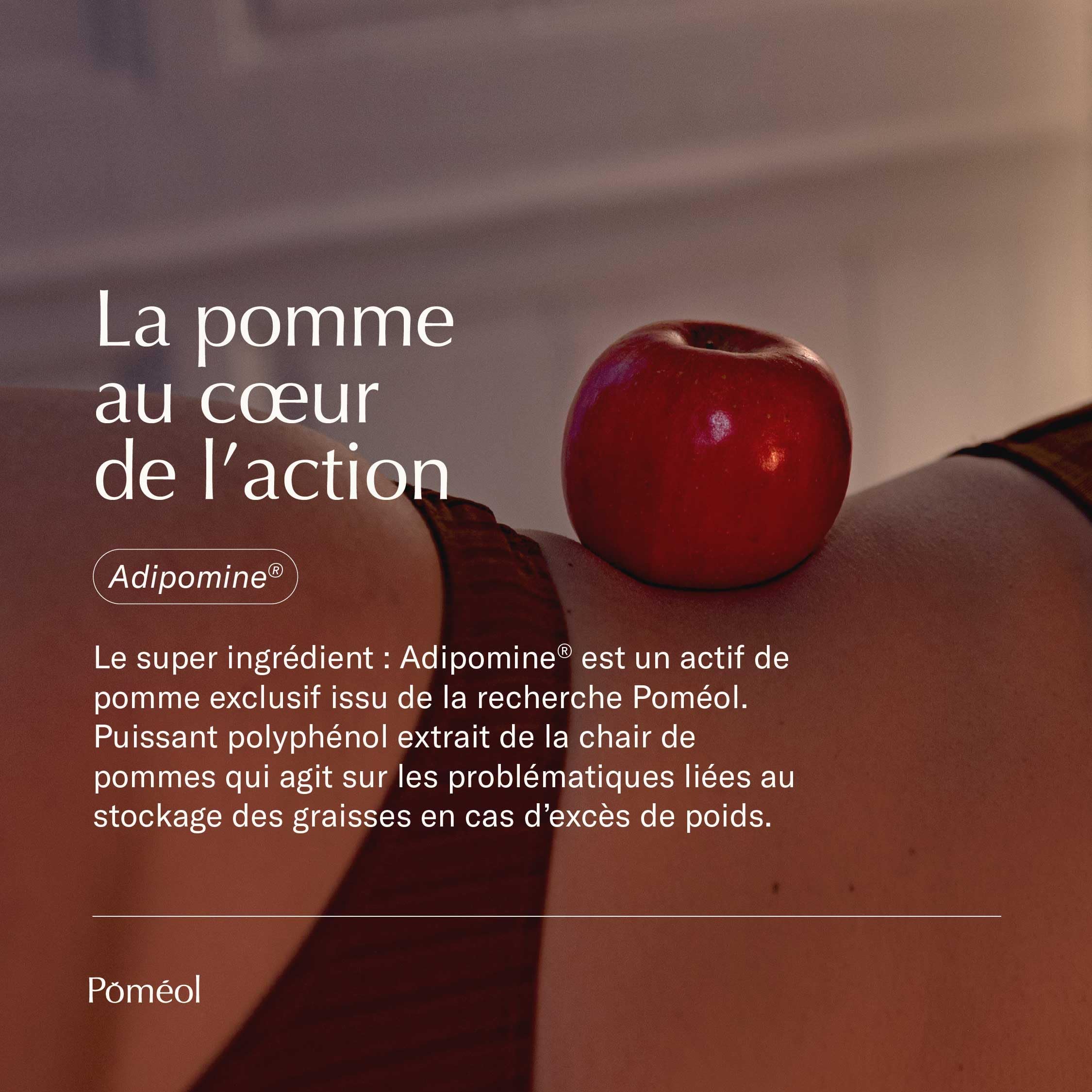 Brûleur de graisse puissant et raffermissant ǀ Complément Alimentaire Perte de Poids ǀ Made in France ǀ Optimise la masse musculaire ǀForskoline,Ascophyllum,Piment, Vitamine B6,Chromeǀ30 joursǀPOMÉOL