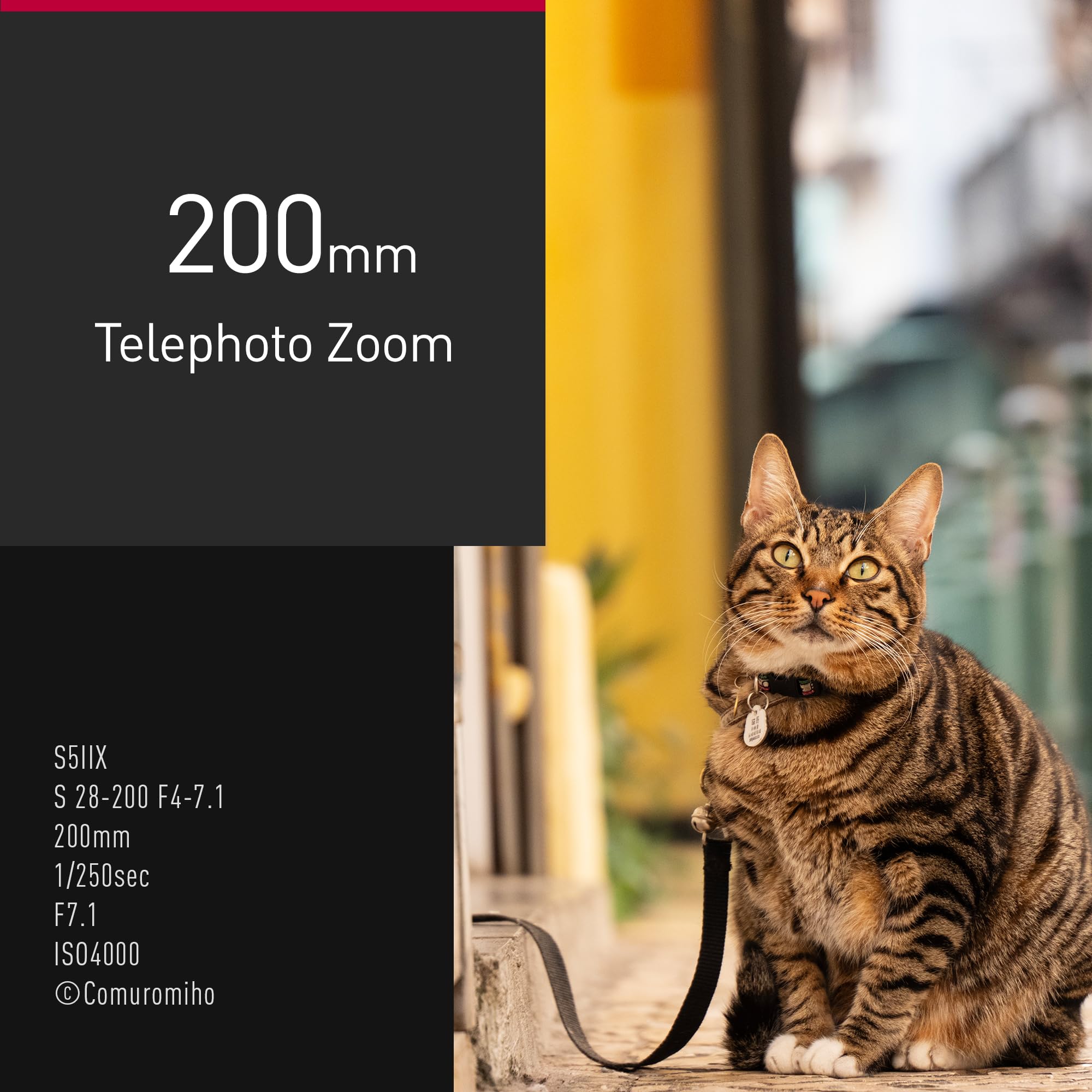 Panasonic Lumix S 28-200mm F4.0-F7.1 I Objectif Téléphoto Polyvalent Macro Plein Format S-R28200E (Zoom 200mm, Macro, Double Stabilisation, Tropicalisé, Compact et léger) Noir, Compatible Monture L