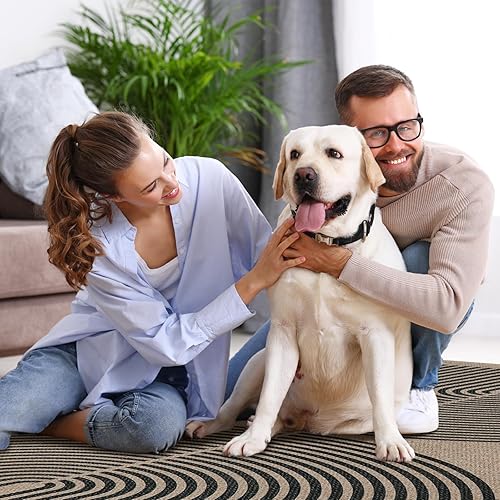 Miniatura 6 de Lahome Alfombra moderna de pasillo de arco iris, 2 x 8 pulgadas, fácil de yute, alfombra de pasillo de cocina con respaldo de goma, alfombra de