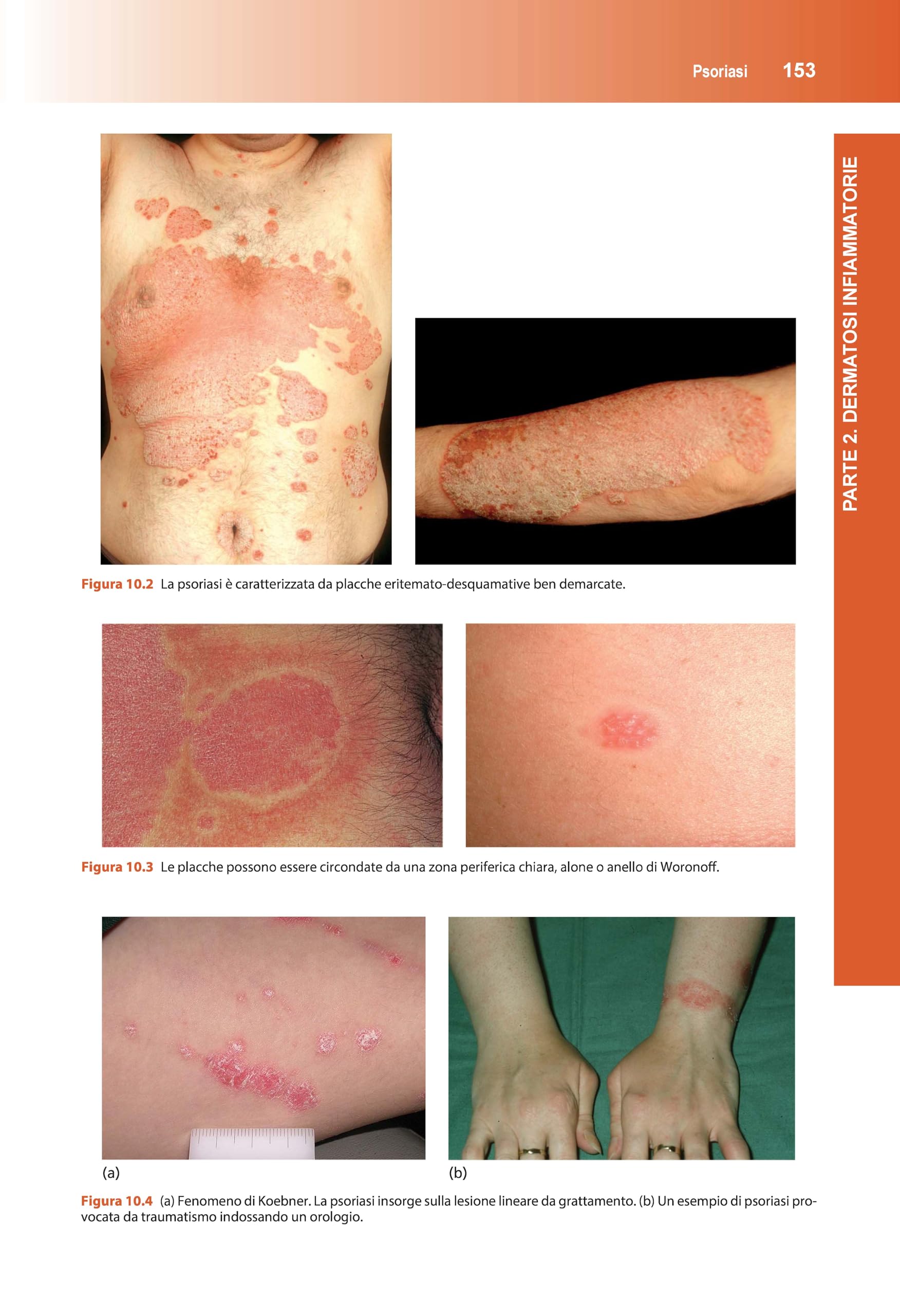 Manuale di dermatologia di Rook
