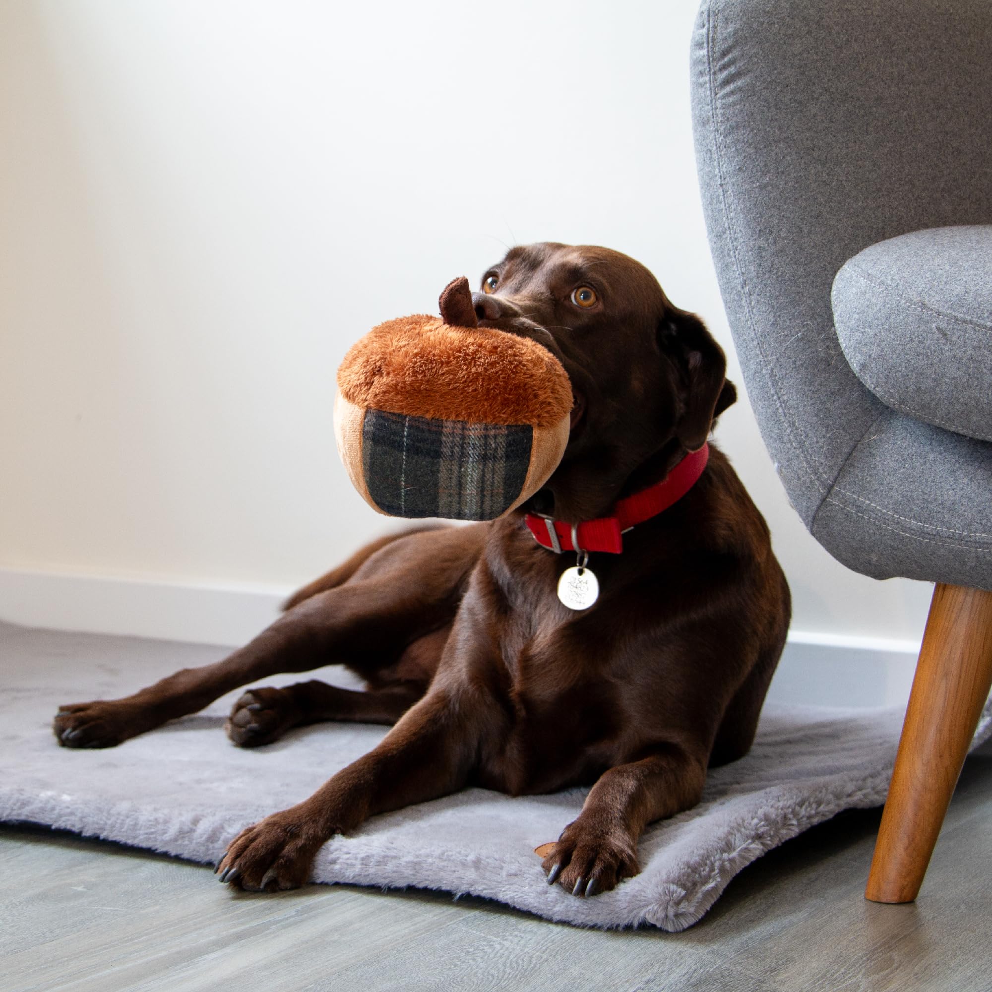 Ancol Heritage Traditional Plush Annie Acorn Dog Toy inspired by British countryside, Brown, 24cm - Image 3