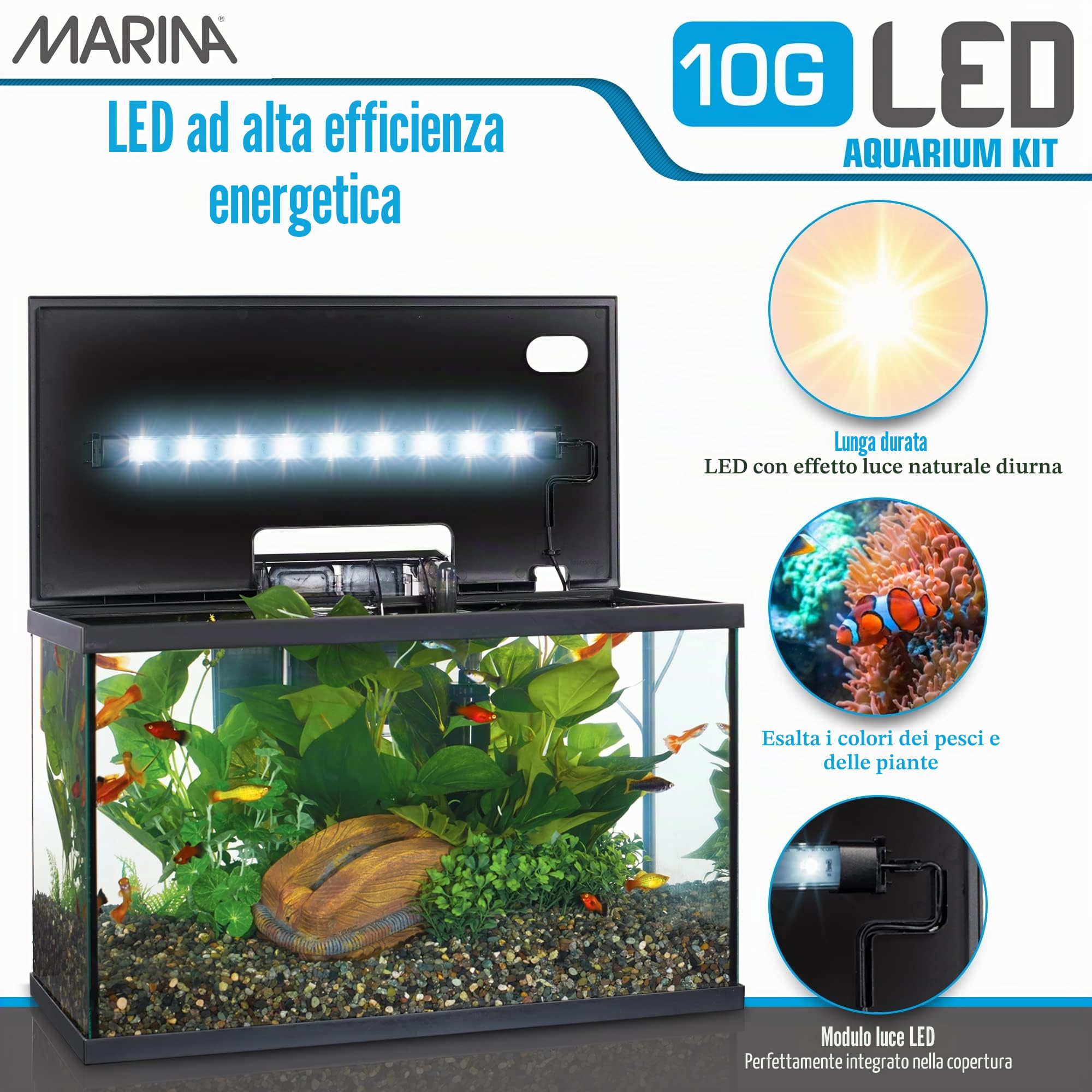 Marina Led Kit Acuario 10G 38 L