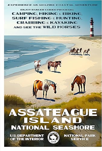 National Park Posters - Assateague Island National Seashore - Decoración de pared para el hogar y la oficina - Diseño vintage original de Rob Decker