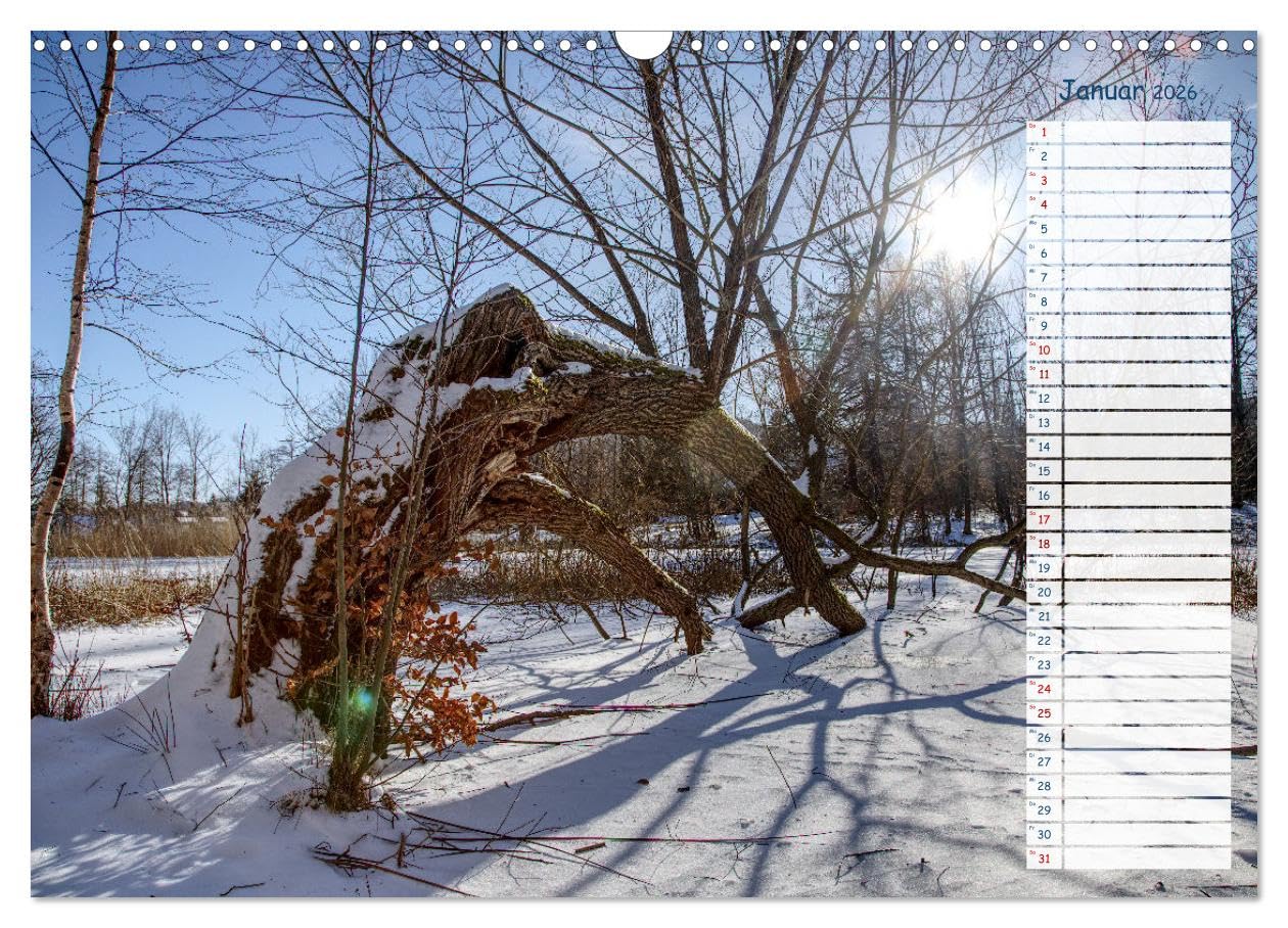 Zwischen Harz und Meer (Wandkalender 2026 DIN A3 quer), CALVENDO Monatskalender: So vielfältig ist Deutschlands Norden