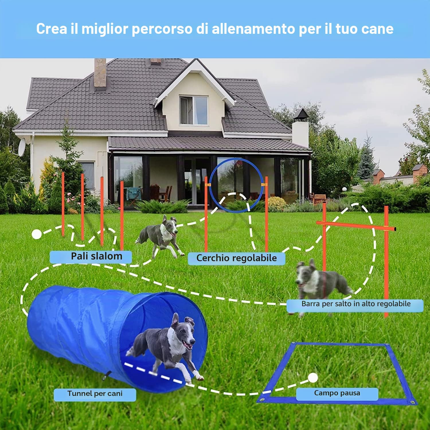 ACXIN Agility Set di attrezzature per cani, ostacoli con tunnel per cani, asta per saltare e ostacoli regolabile in altezza, set di agilità per cani, giochi interessanti