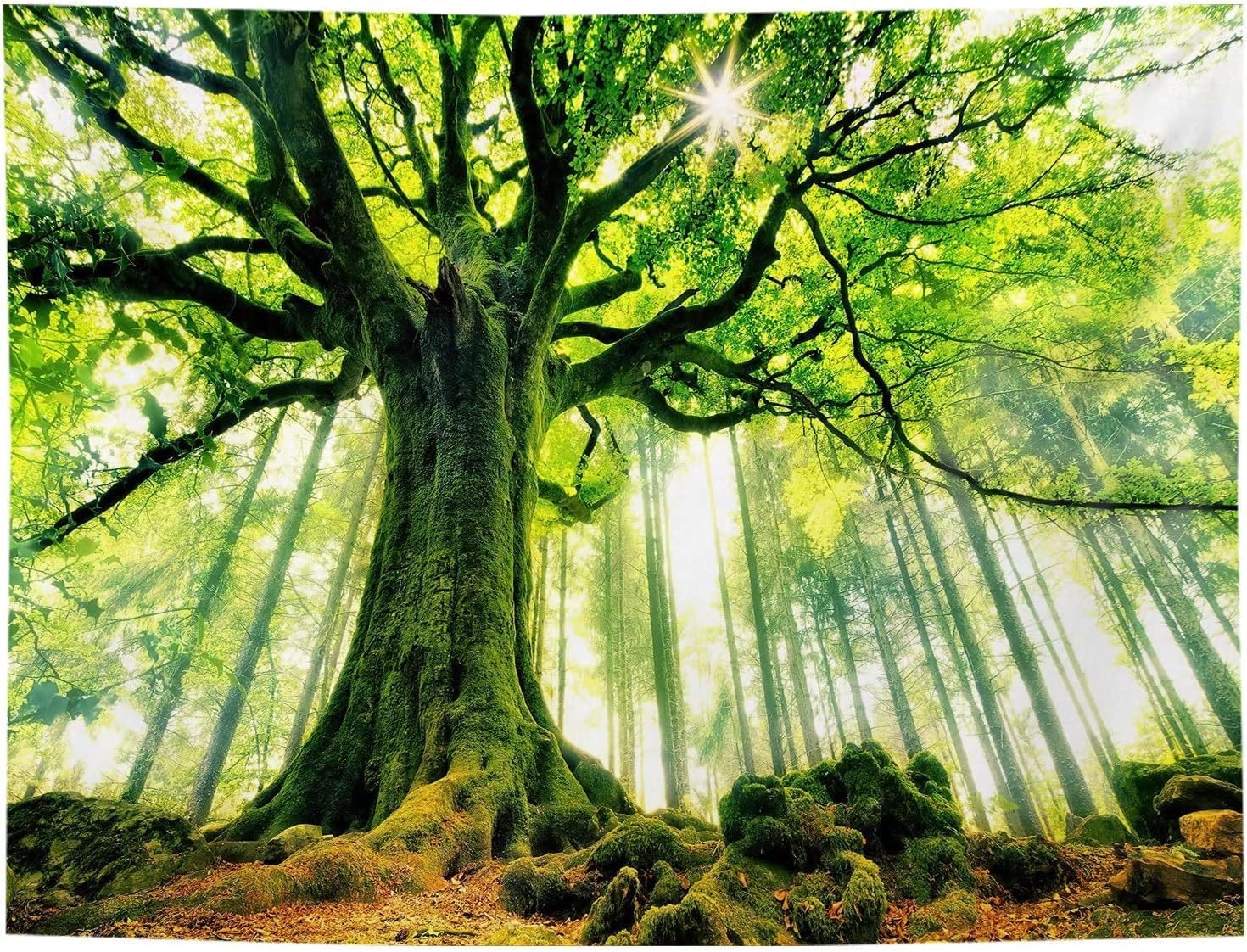 FENDROM Nature Forest Tree Tapestries Large Landscape Tapestry Sunshine Through Wall Hangings for Bedroom Living Room Dorm Decor