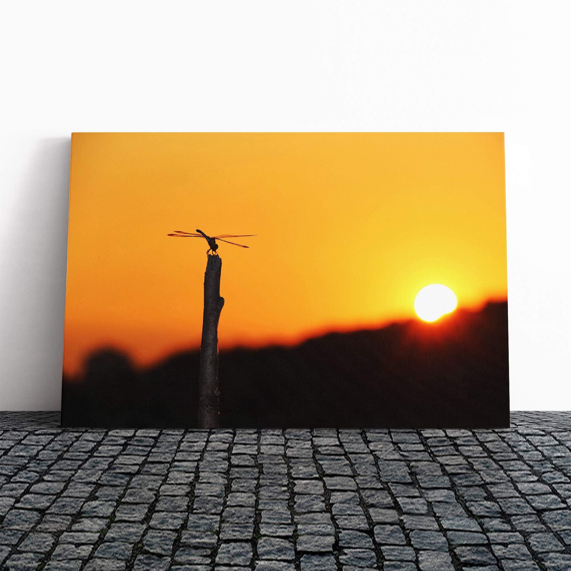 Dragonfly Insect (5) Canvas Print | Gallery Wrapped 30mm Frame Wall Art | 30x20 inches | Ready to Hang | Modern Animals Picture | Living Room Bedroom Lounge Office