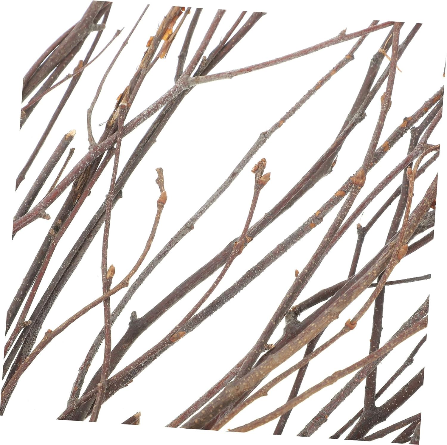 Luxshiny 10PCS Birch Twig Branches for Home Decoration Natural Dried Greenery Stems Rustic Centerpiece Decor for Weddings and Events
