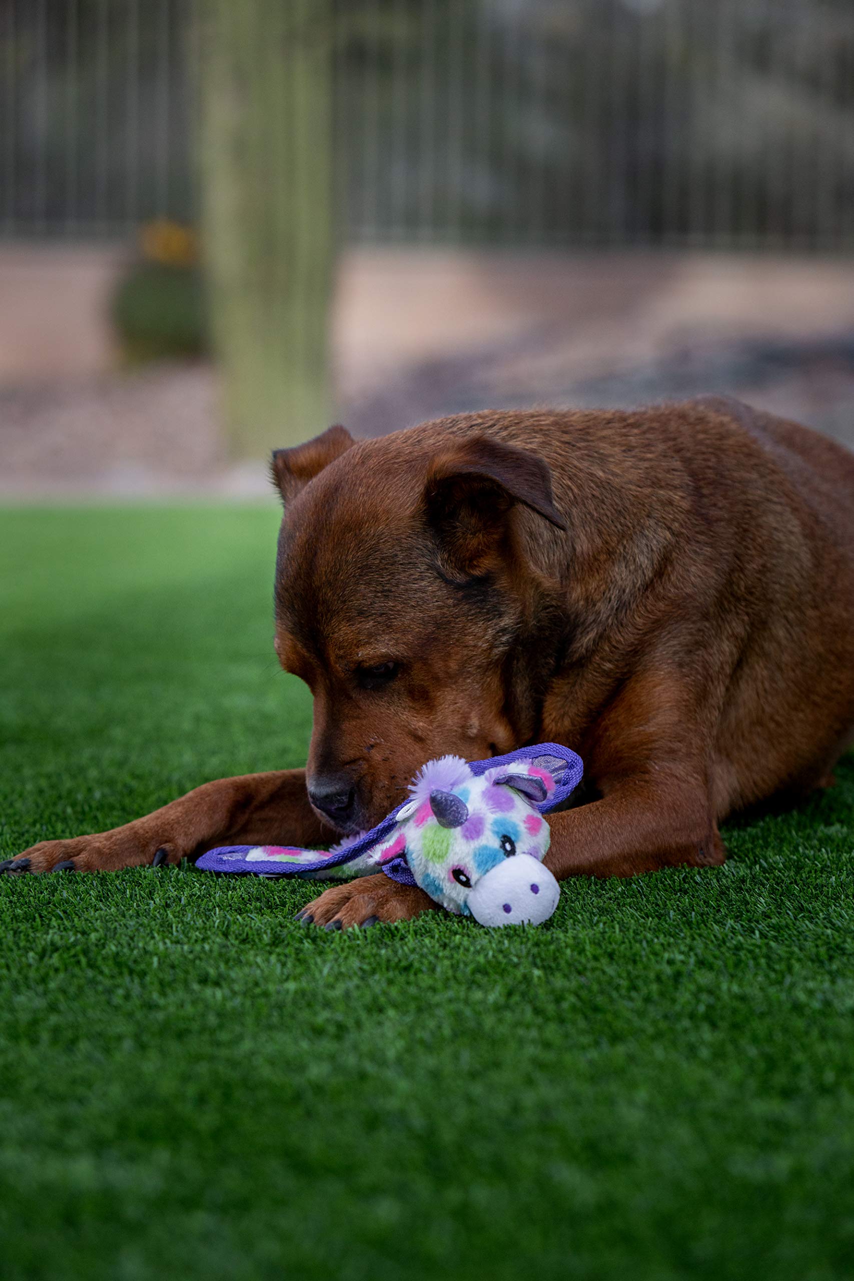 Multipet Giocattolo per Cani a Forma di Unicorno, 25,4 cm