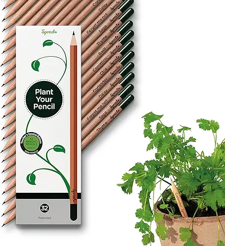 Sprout Wood-Cased Plantable Pencils | Teacher's Ed | HB Pre-Sharpened | Seed Pack | 32 Pack