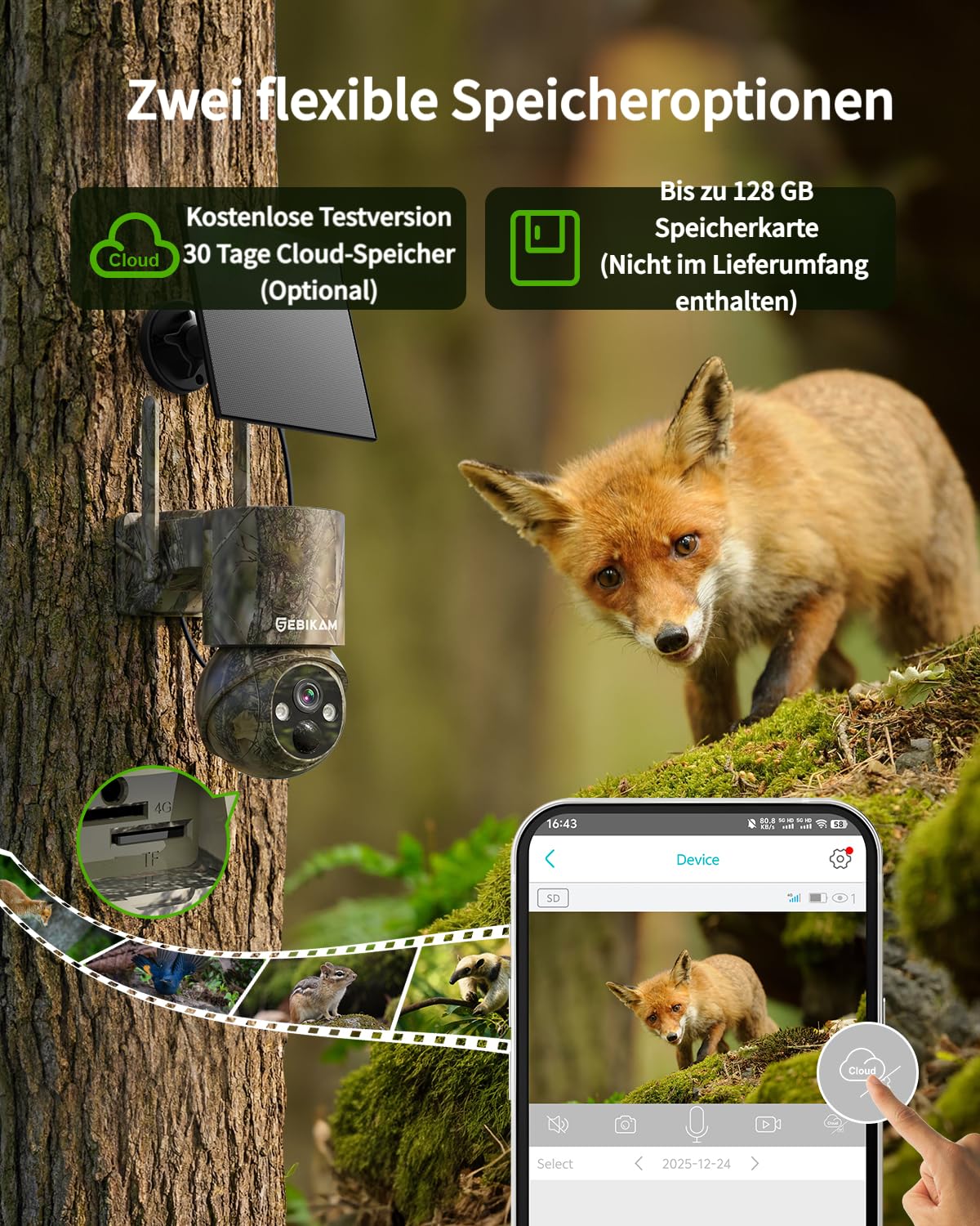 4G LTE Wildkamera mit SIM Karte Solar