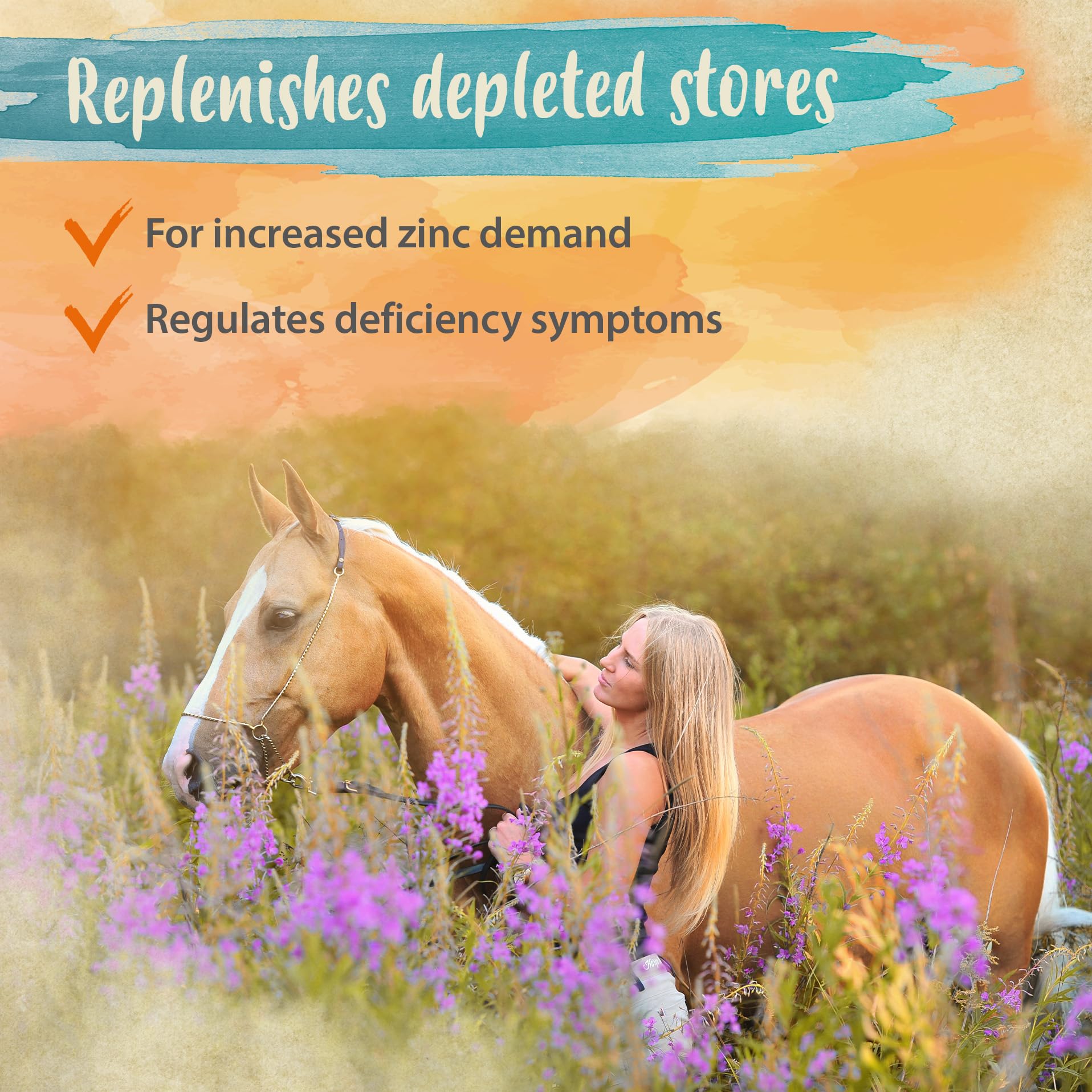 Ida Plus Biotine + Zinc - Soin complet - Hautement dosé - VAINQUEUR DU COMPARATIF - Zinc Premium pour chevaux - Améliore la qualité des sabots - Pour la peau, le pelage & le système immunitaire - 750g